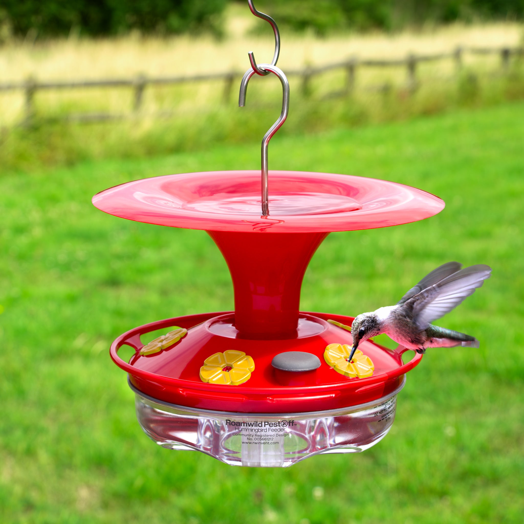 Feed Hummingbirds Hummingbird Ring Feeder By Zummr Amazing