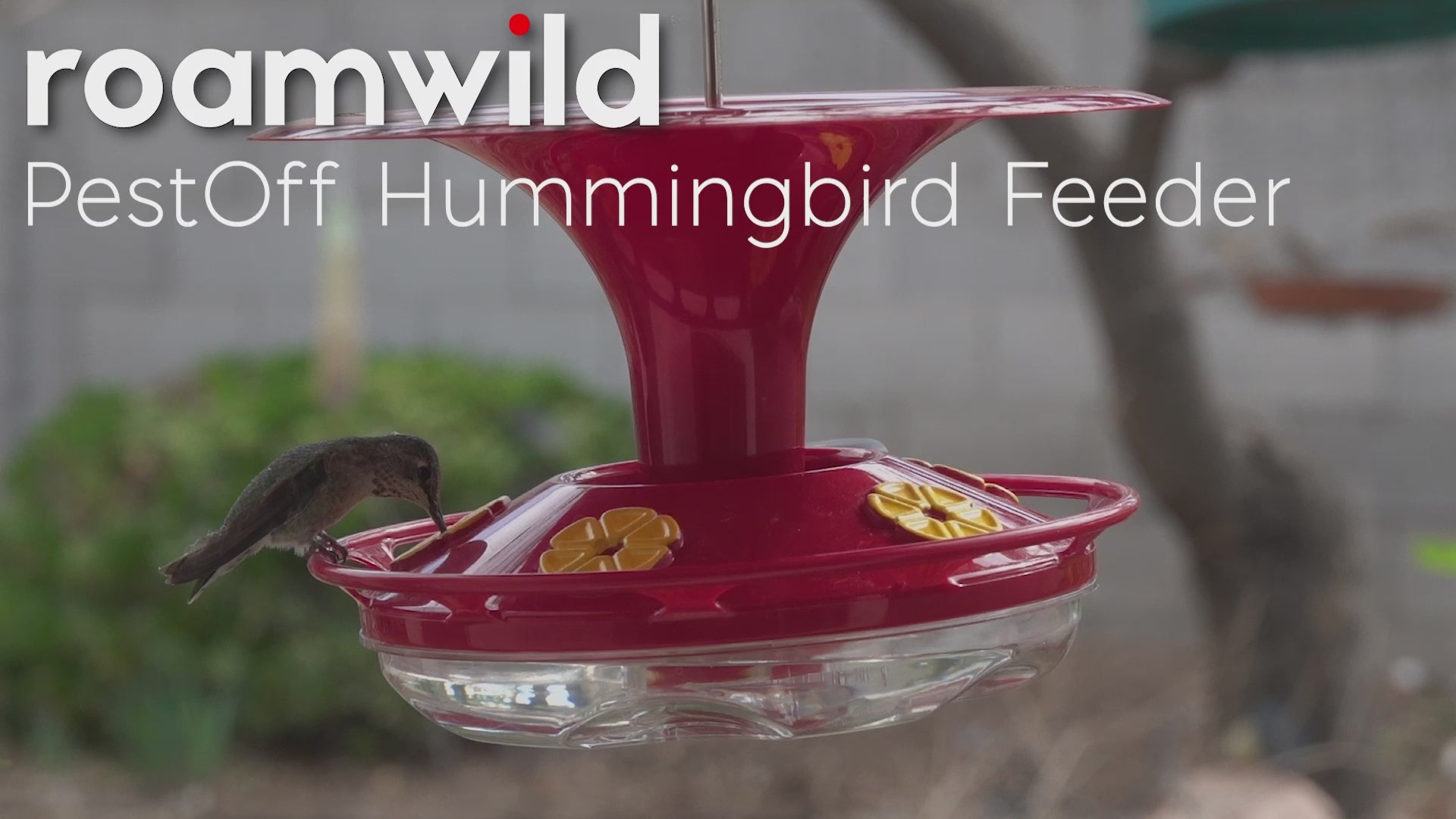 Load video: Roamwild Hanging Bee Proof Hummingbird Feeder