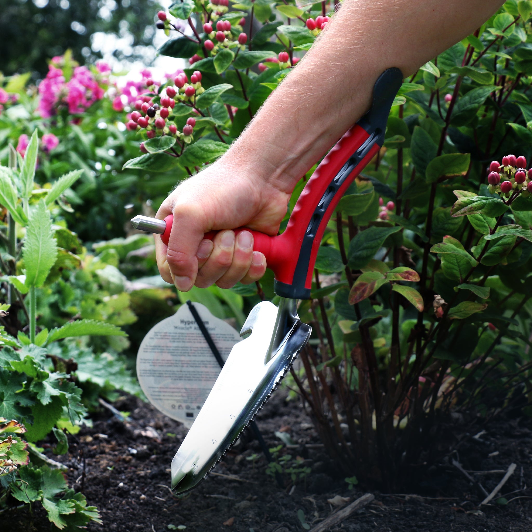 Gardening