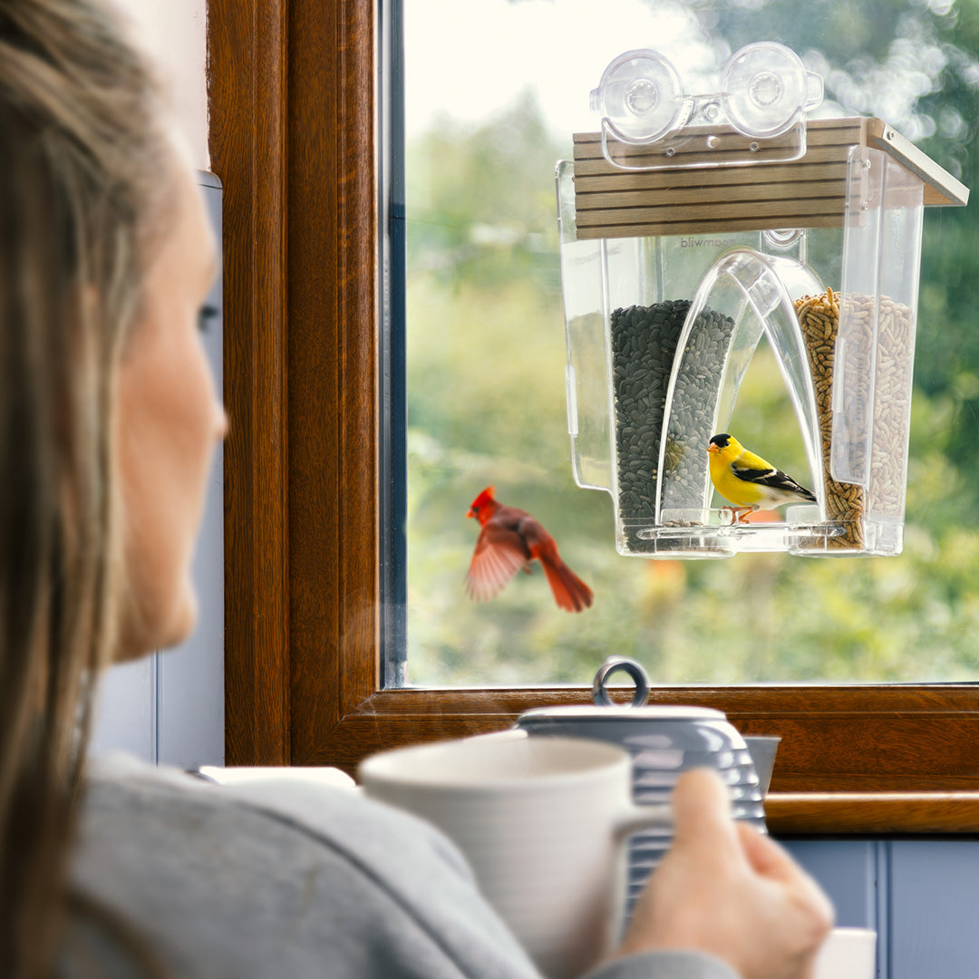 Roamwild Arch Window Bird Feeder