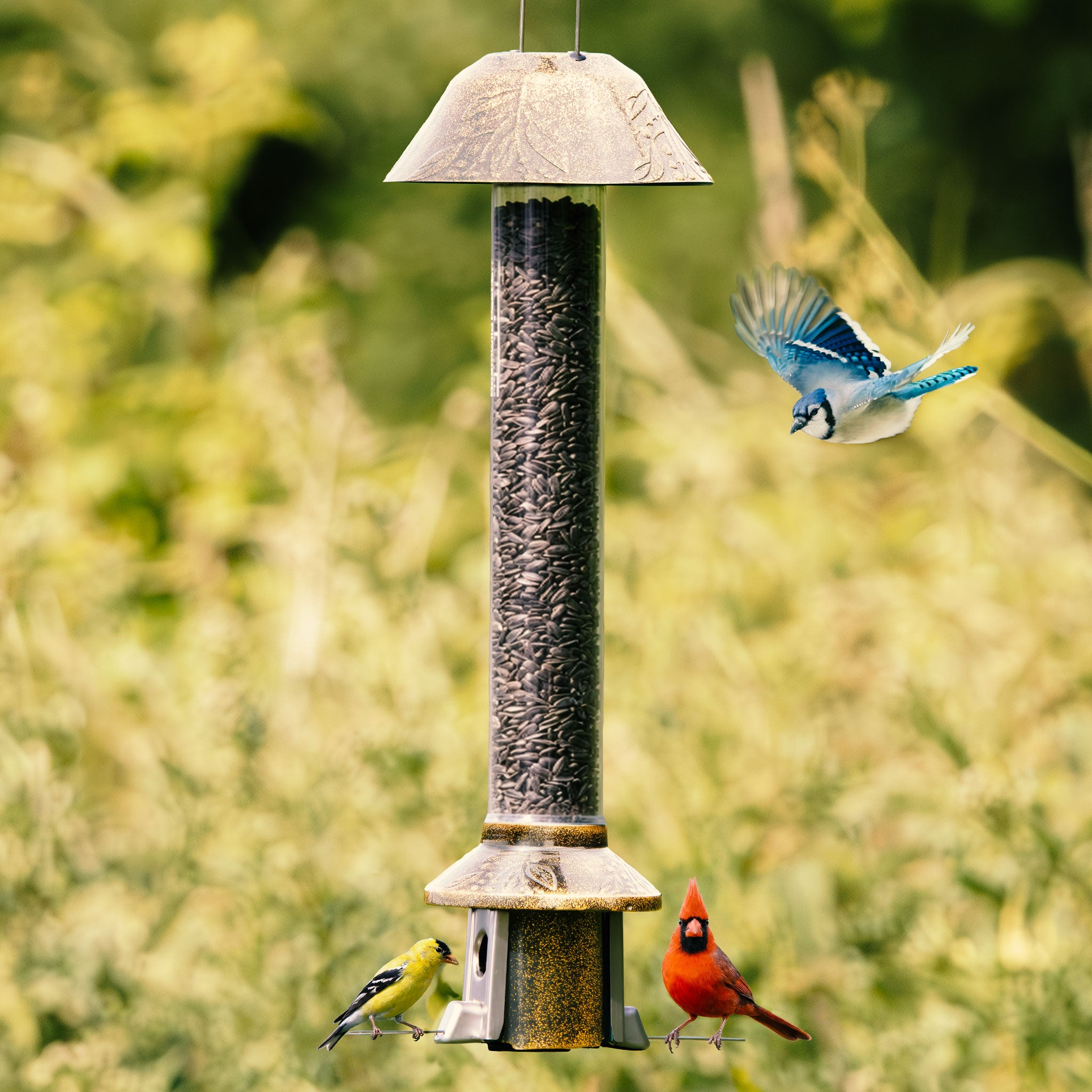 Roamwild PestOff Squirrel Proof Bird Feeder 2.0