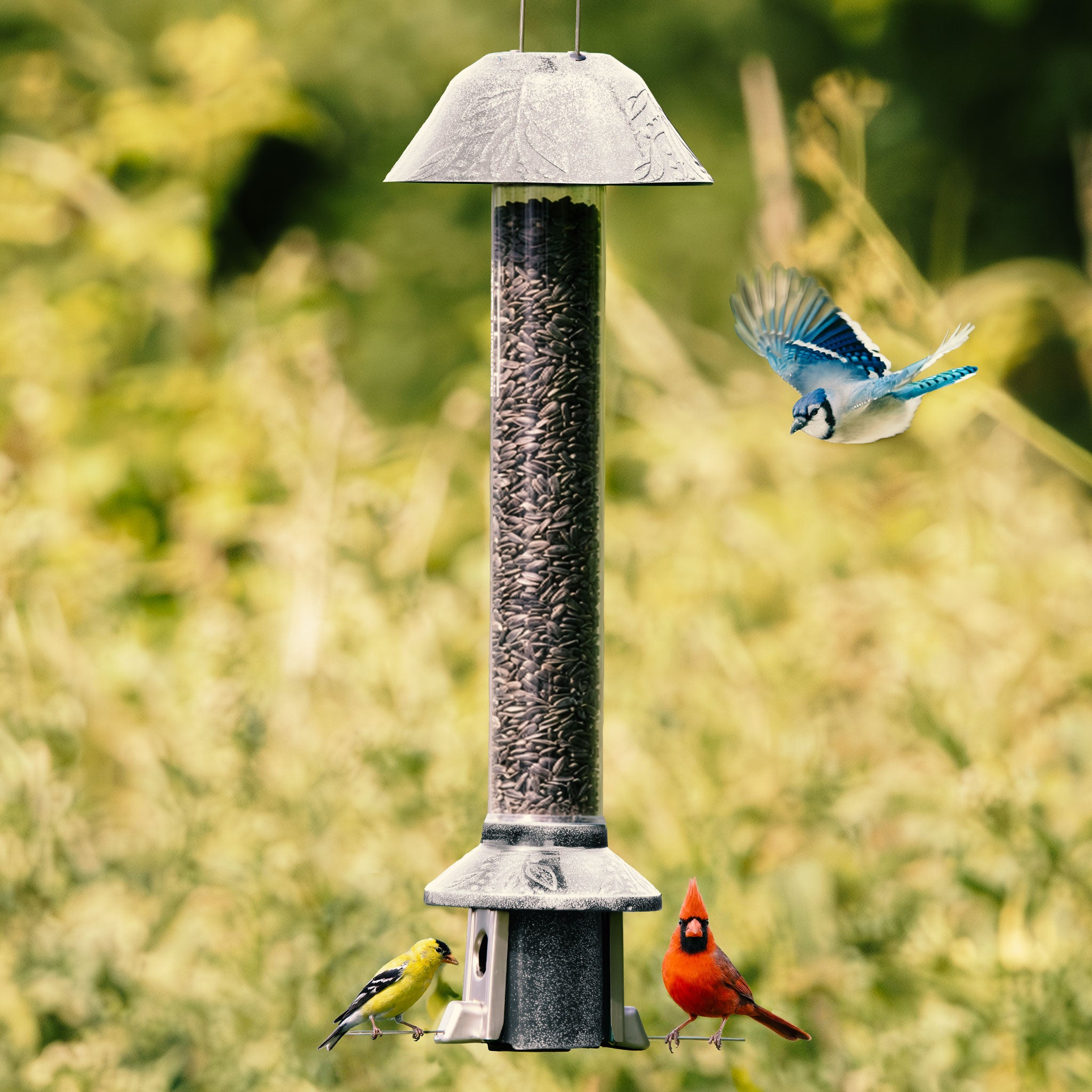 Roamwild PestOff Squirrel Proof Bird Feeder 2.0