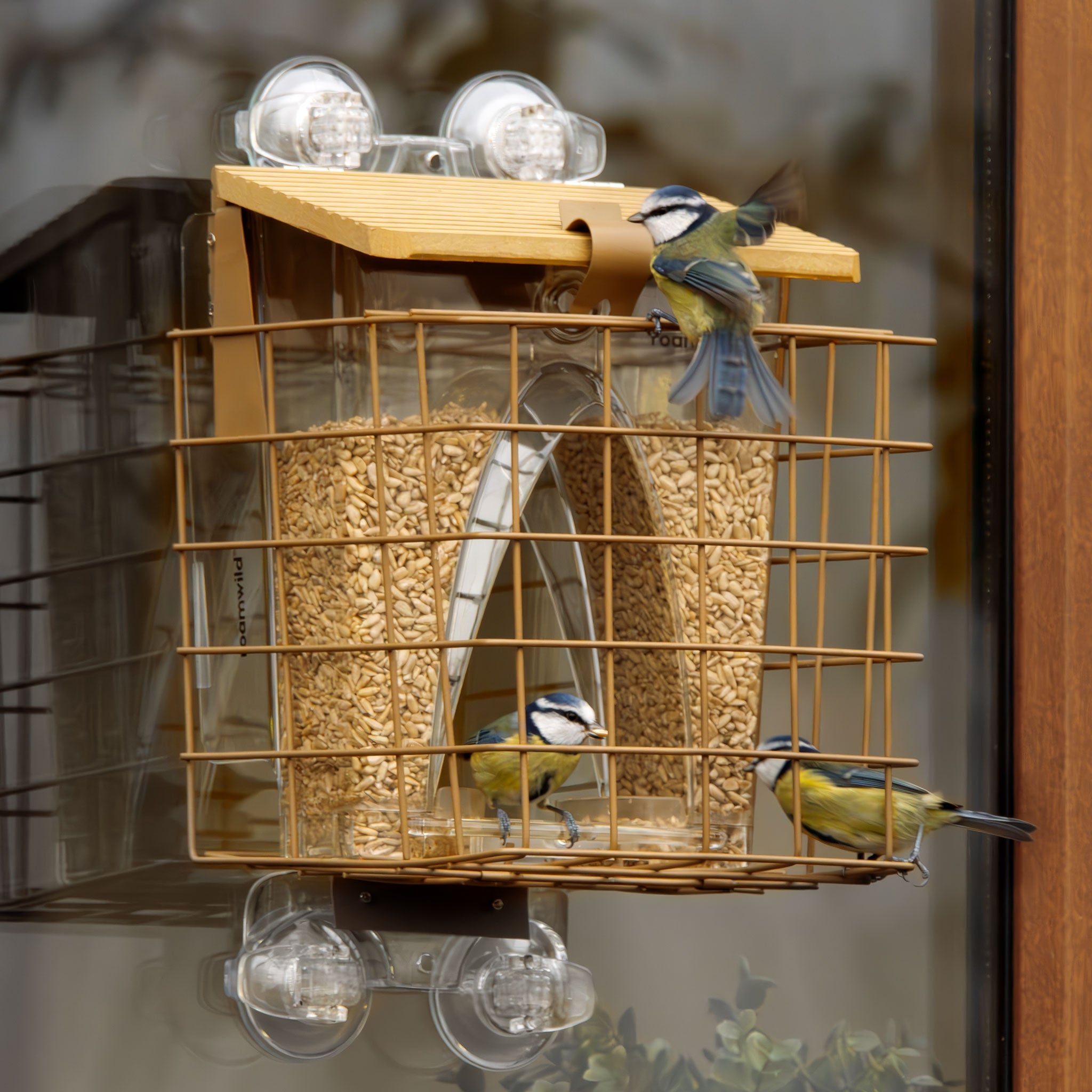 Roamwild Arch Window Bird Feeder