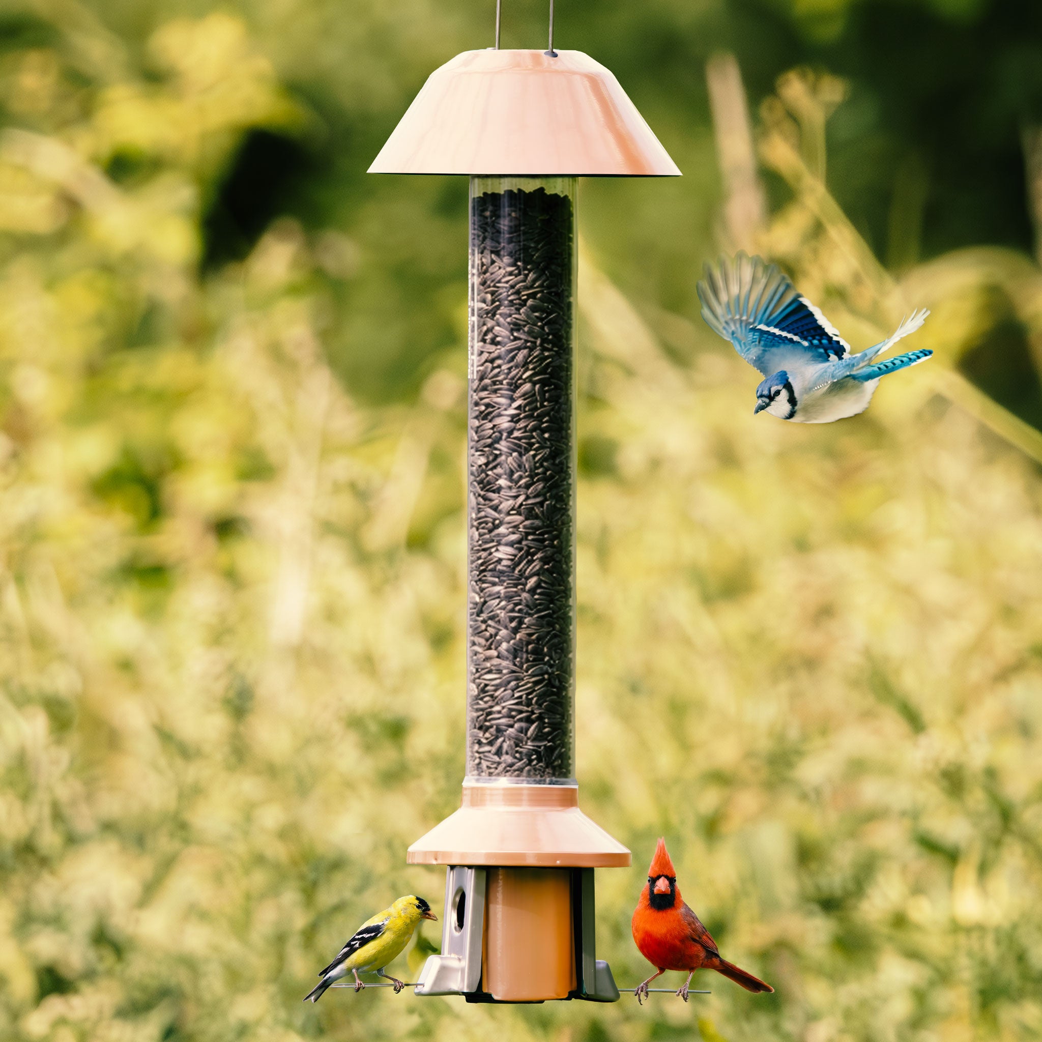 Roamwild PestOff Squirrel Proof Bird Feeder 2.0