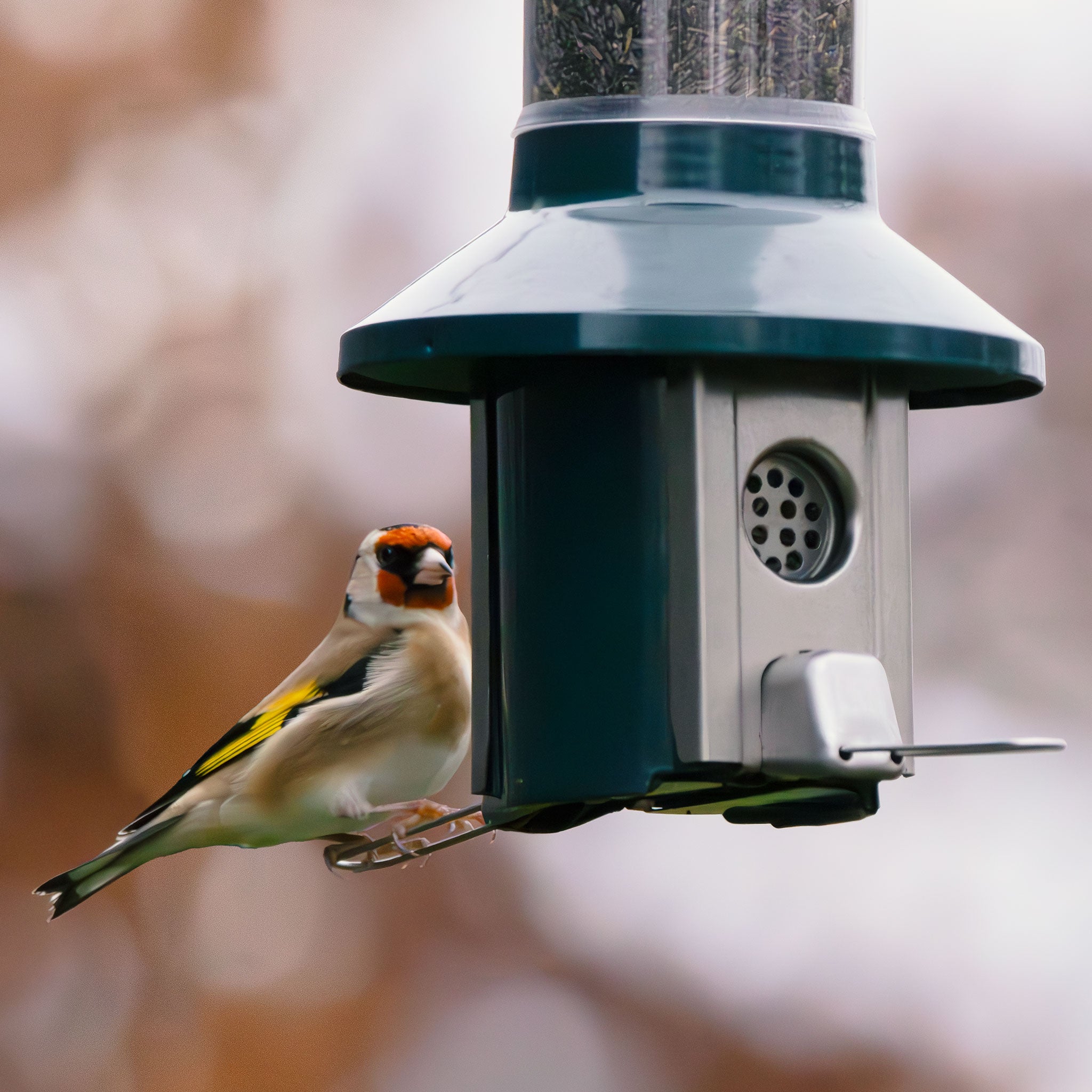 Roamwild PestOff 2.0 Nyjer & Thistle Seed Bird Feeder