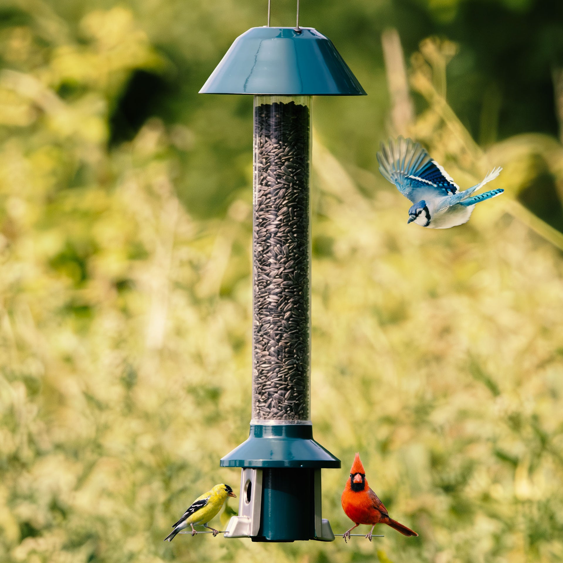 Roamwild PestOff Squirrel Proof Bird Feeder 2.0 - Heritage Green