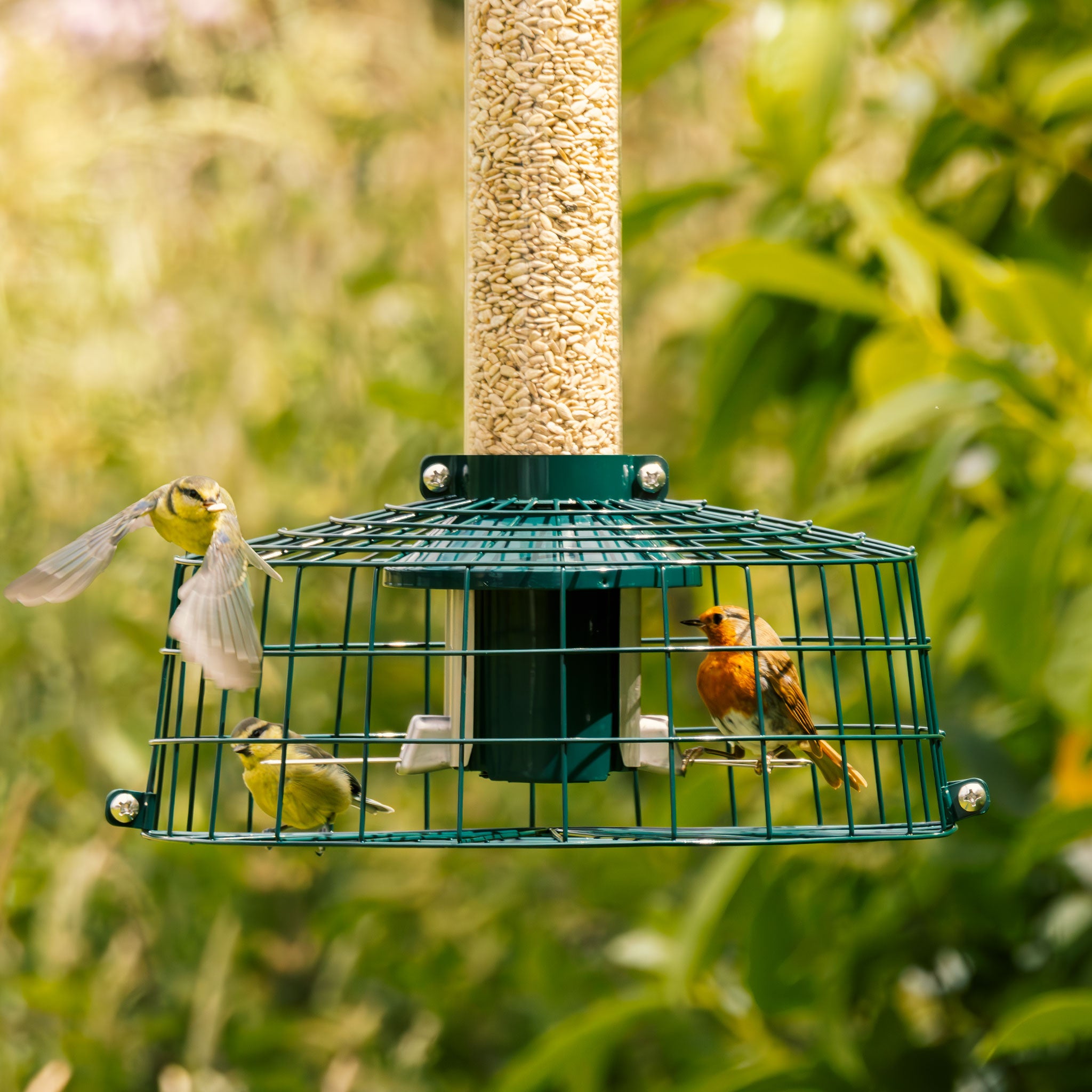 Roamwild PestOff Deer/Starling Proof Cage Accessory