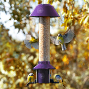 Roamwild PestOff Squirrel Proof Bird Feeder | Platinum Jubilee