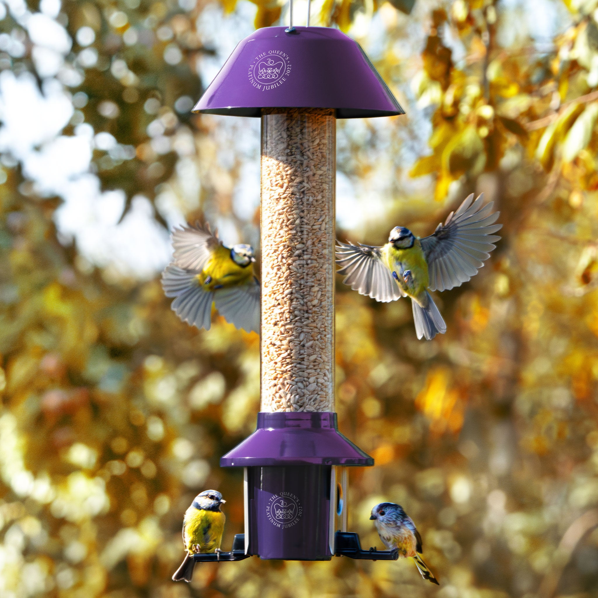 Roamwild PestOff Squirrel Proof Bird Feeder | Platinum Jubilee