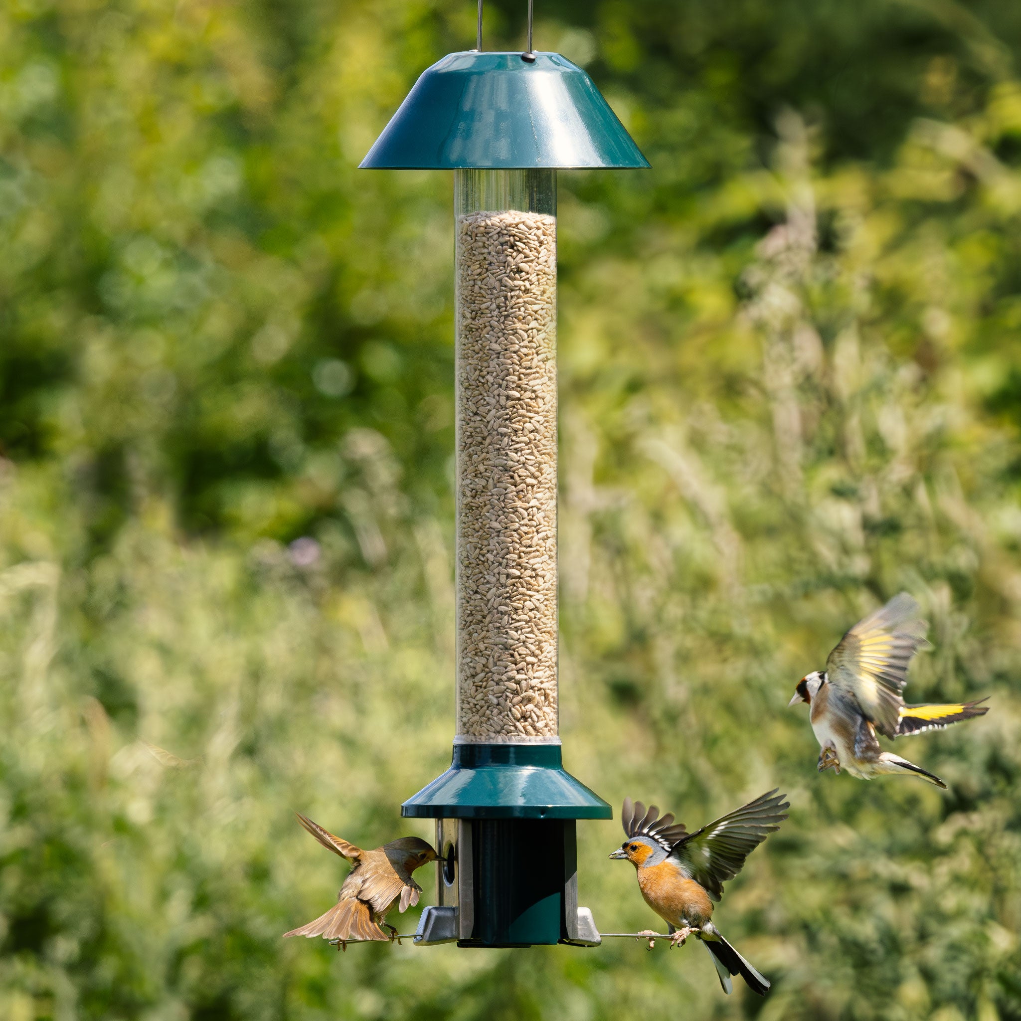 Roamwild PestOff Squirrel Proof Bird Feeder 2.0