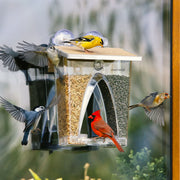 Roamwild Arch Window Bird Feeder