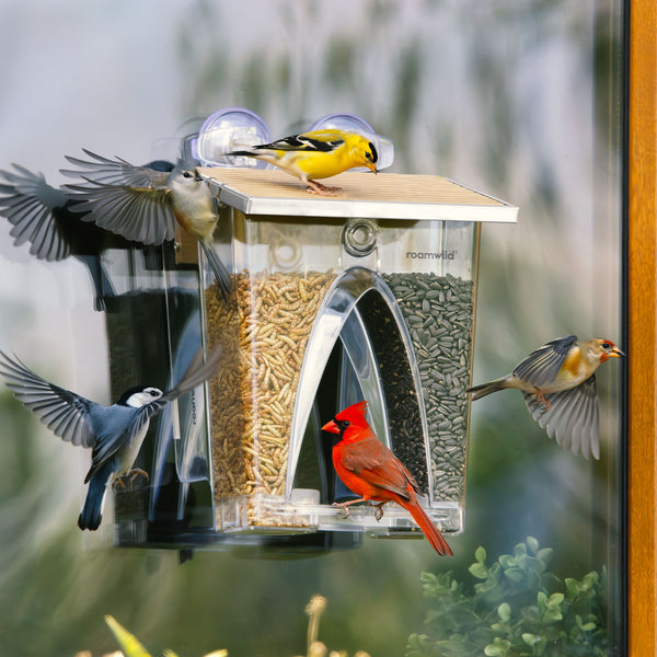Roamwild Arch Window Bird Feeder