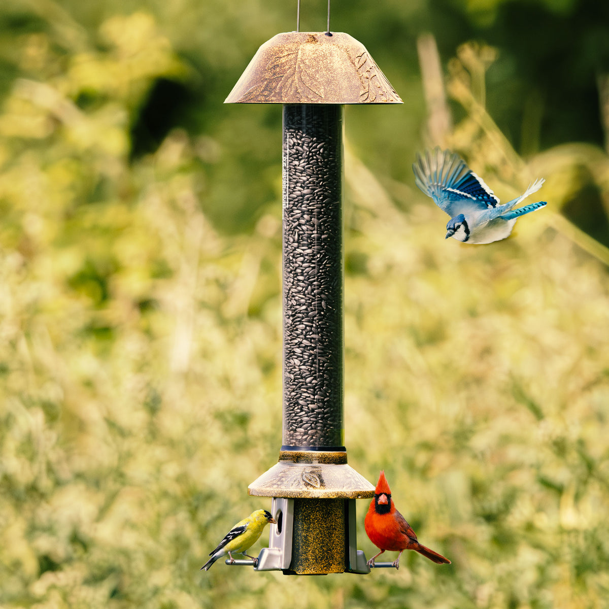 Roamwild PestOff Squirrel Proof Bird Feeder 2.0: front view