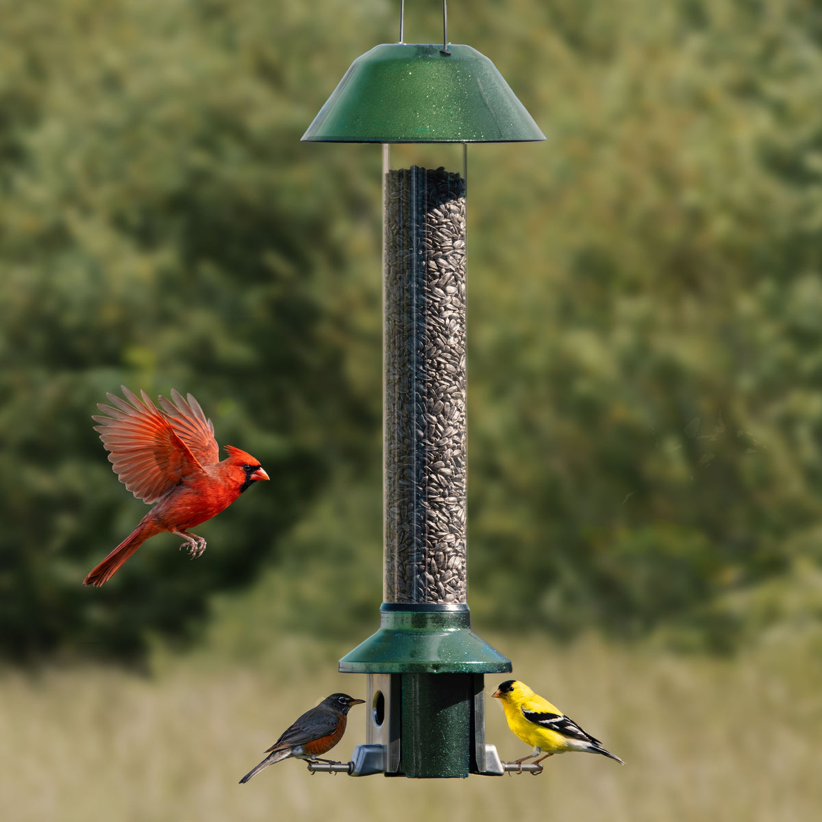 Roamwild PestOff Squirrel Proof Bird Feeder 2.0: front view