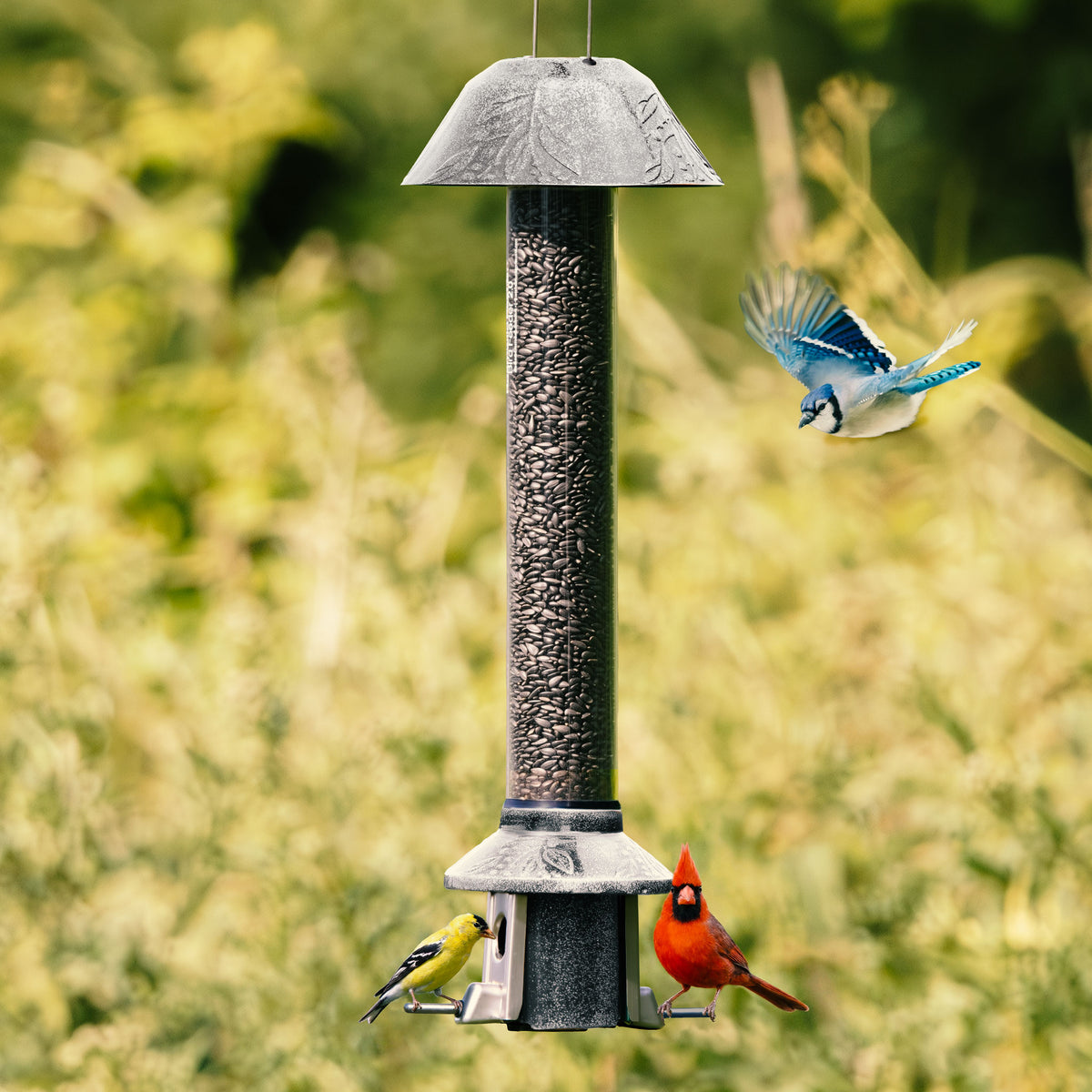 Roamwild PestOff Squirrel Proof Bird Feeder 2.0: front view