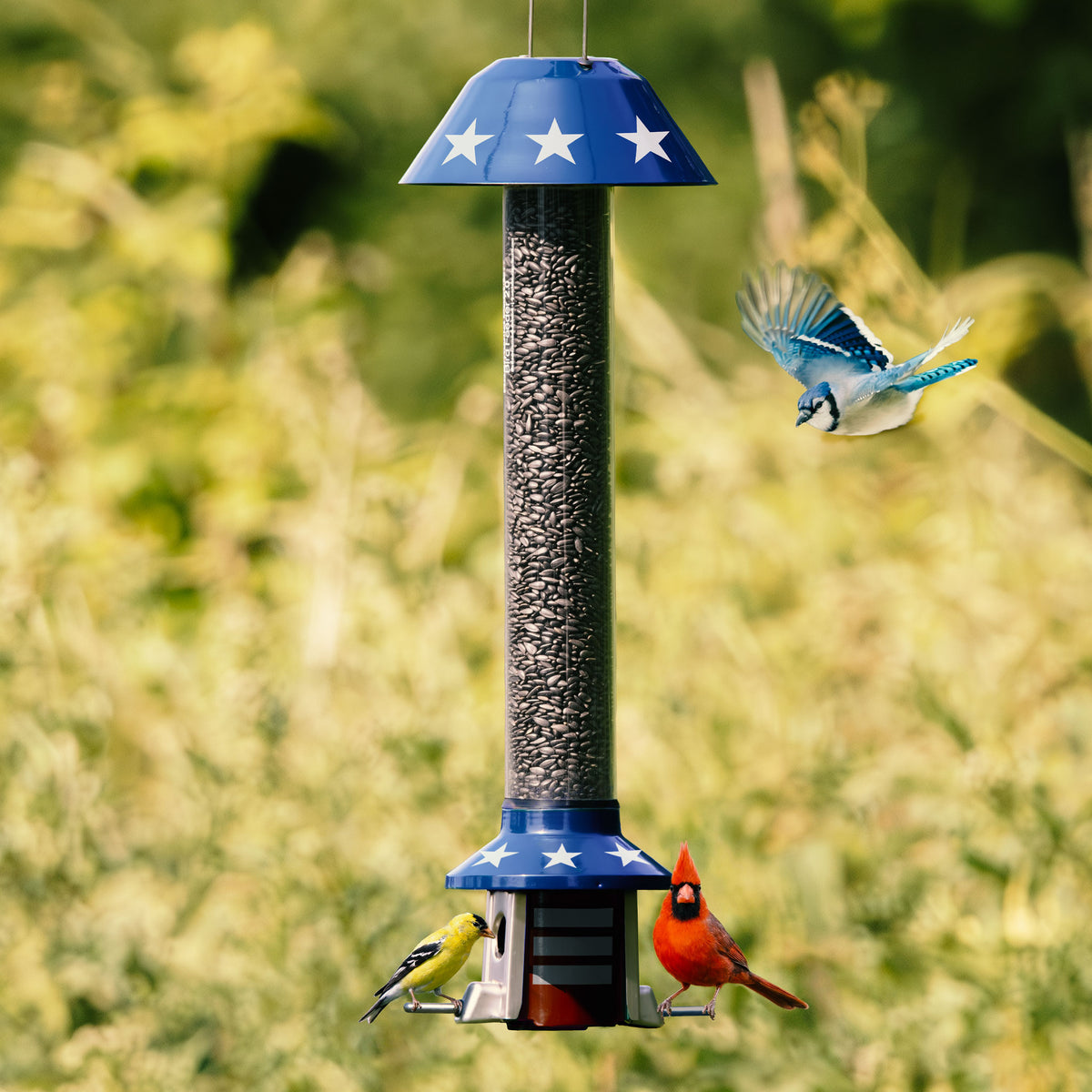 Roamwild PestOff Squirrel Proof Bird Feeder 2.0: front view