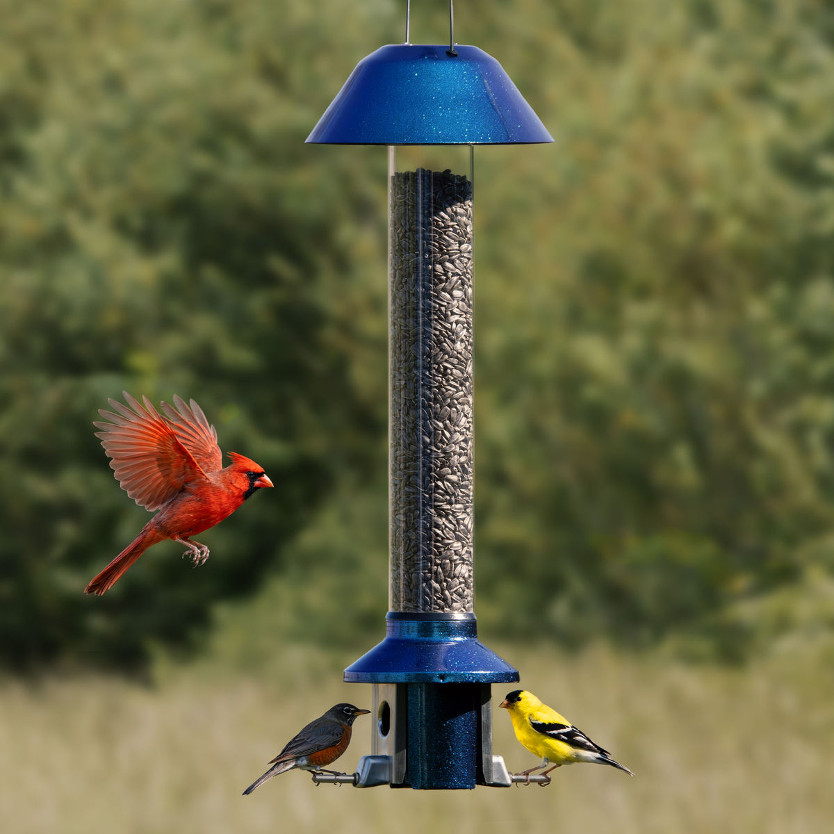Roamwild PestOff Squirrel Proof Bird Feeder 2.0 in Aurora Blue: front view