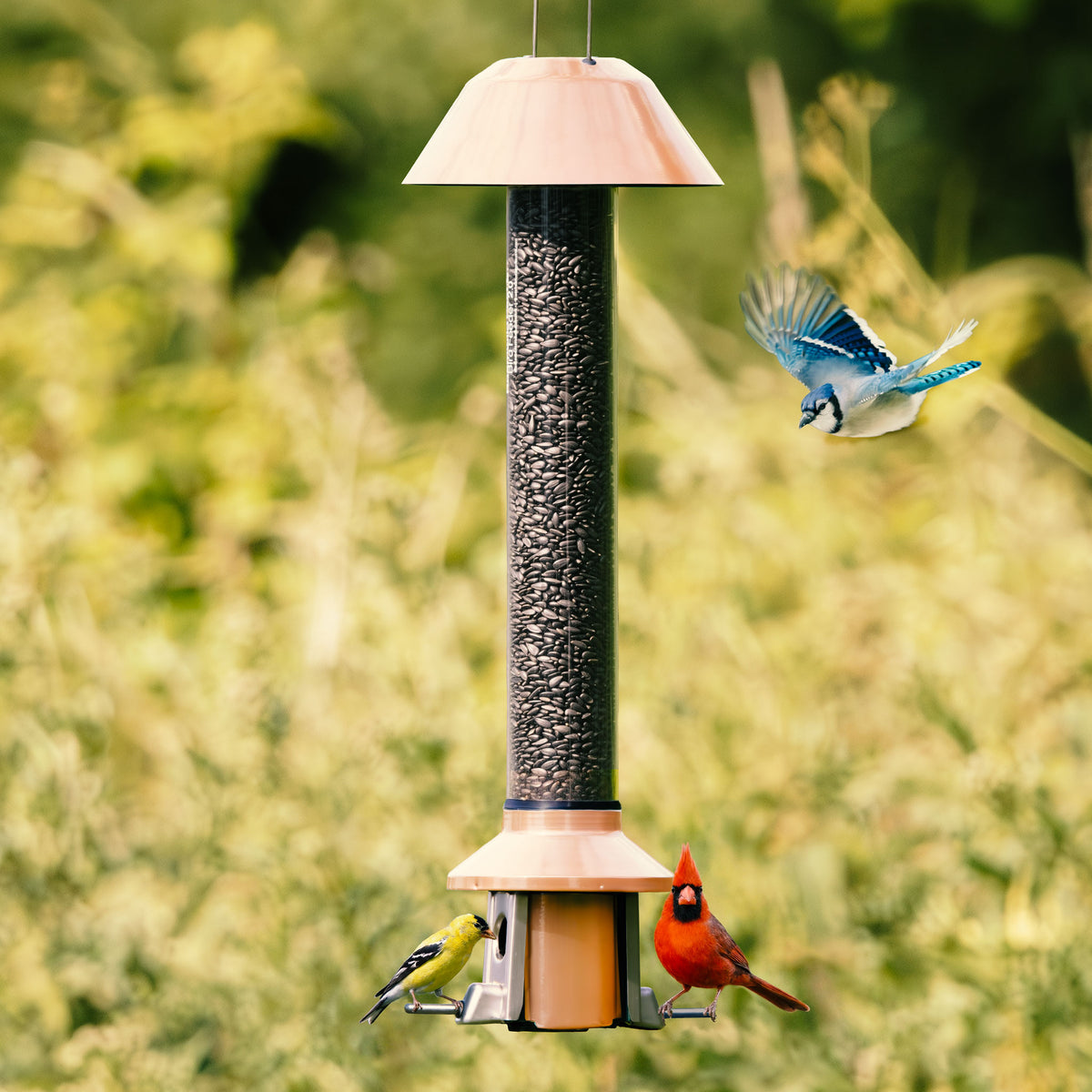 Roamwild PestOff Squirrel Proof Bird Feeder 2.0: front view
