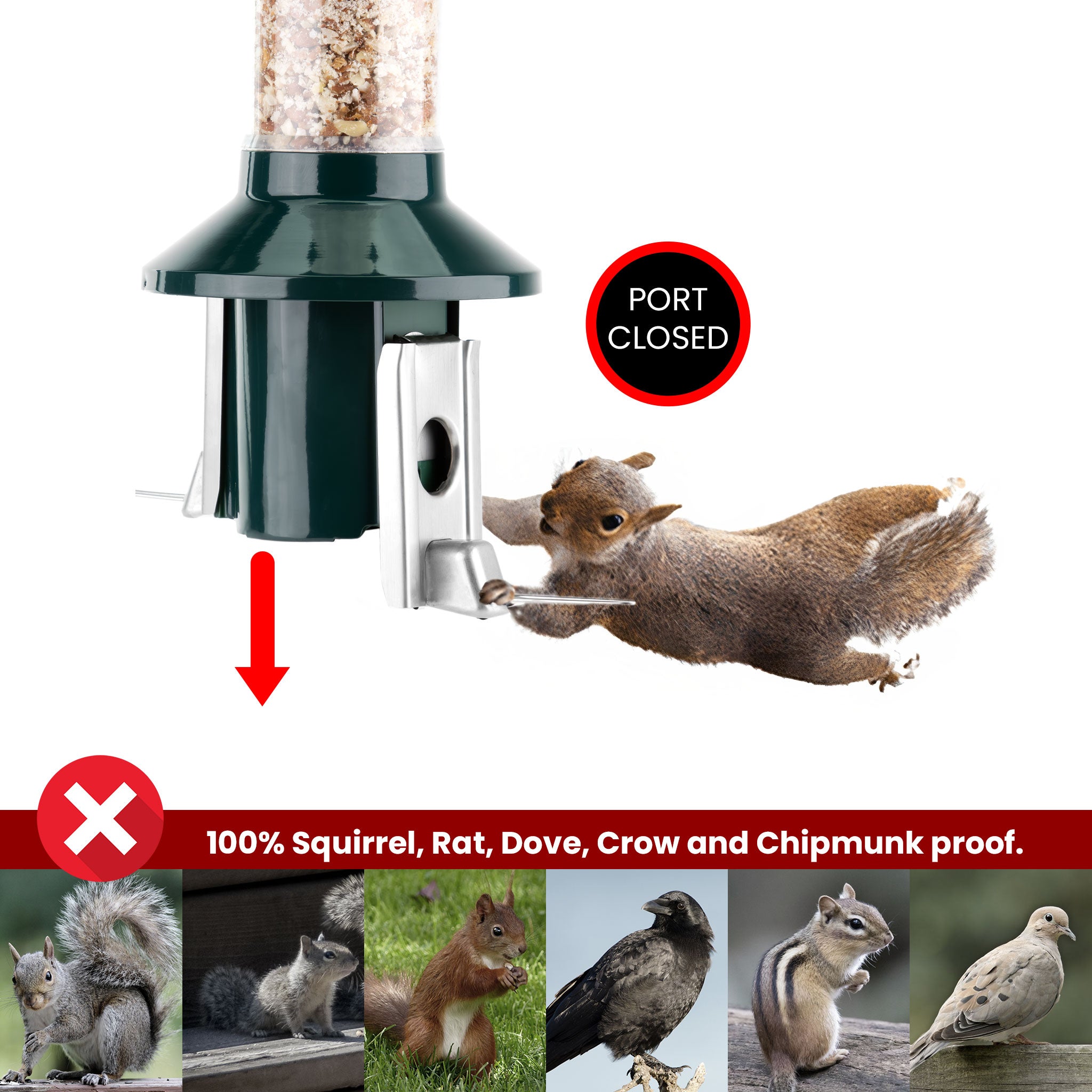 Roamwild PestOff Squirrel Proof Bird Feeder 2.0 For Peanut/Mealworms