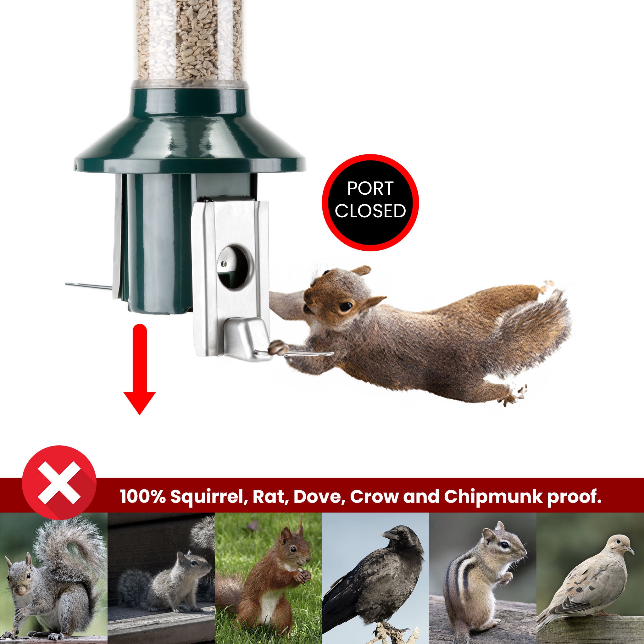 Roamwild PestOff Squirrel Proof Bird Feeder 2.0