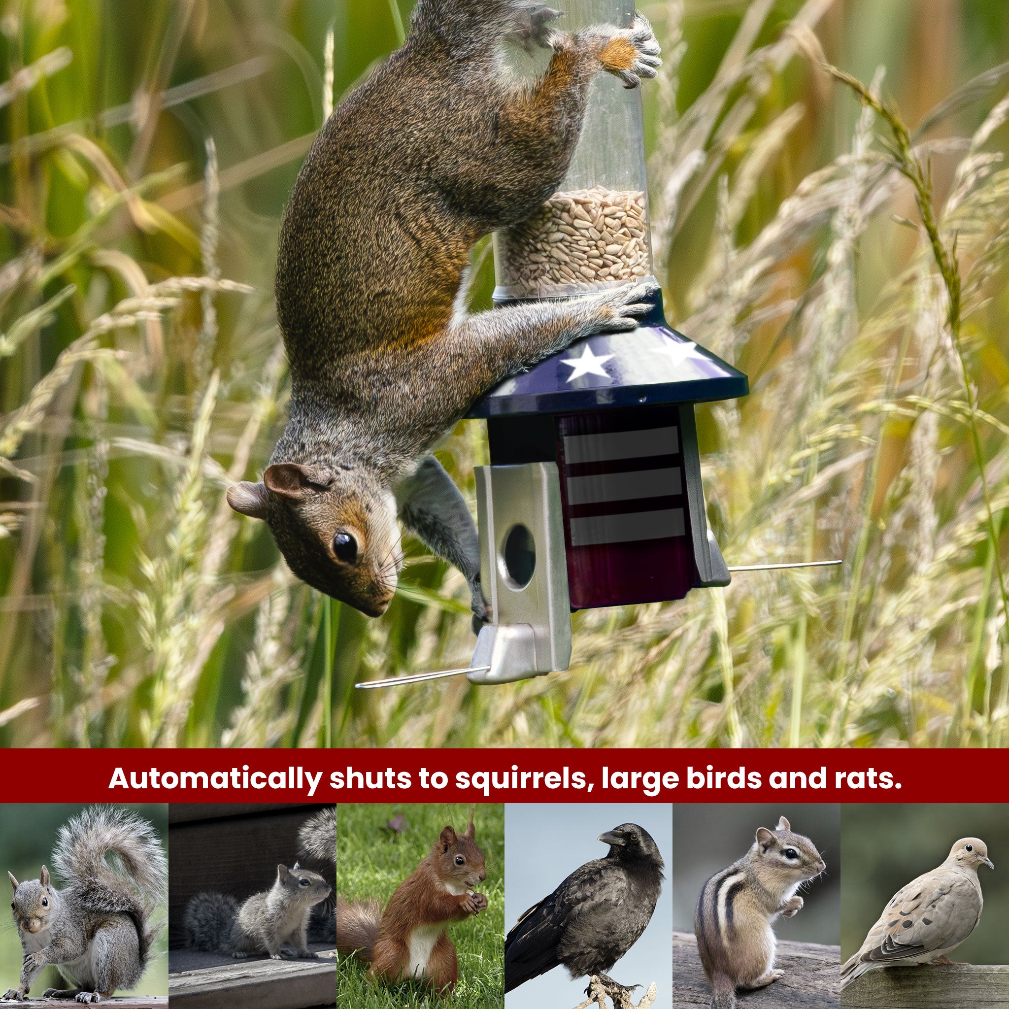 Roamwild PestOff Squirrel Proof Bird Feeder US Flag Design 2.0