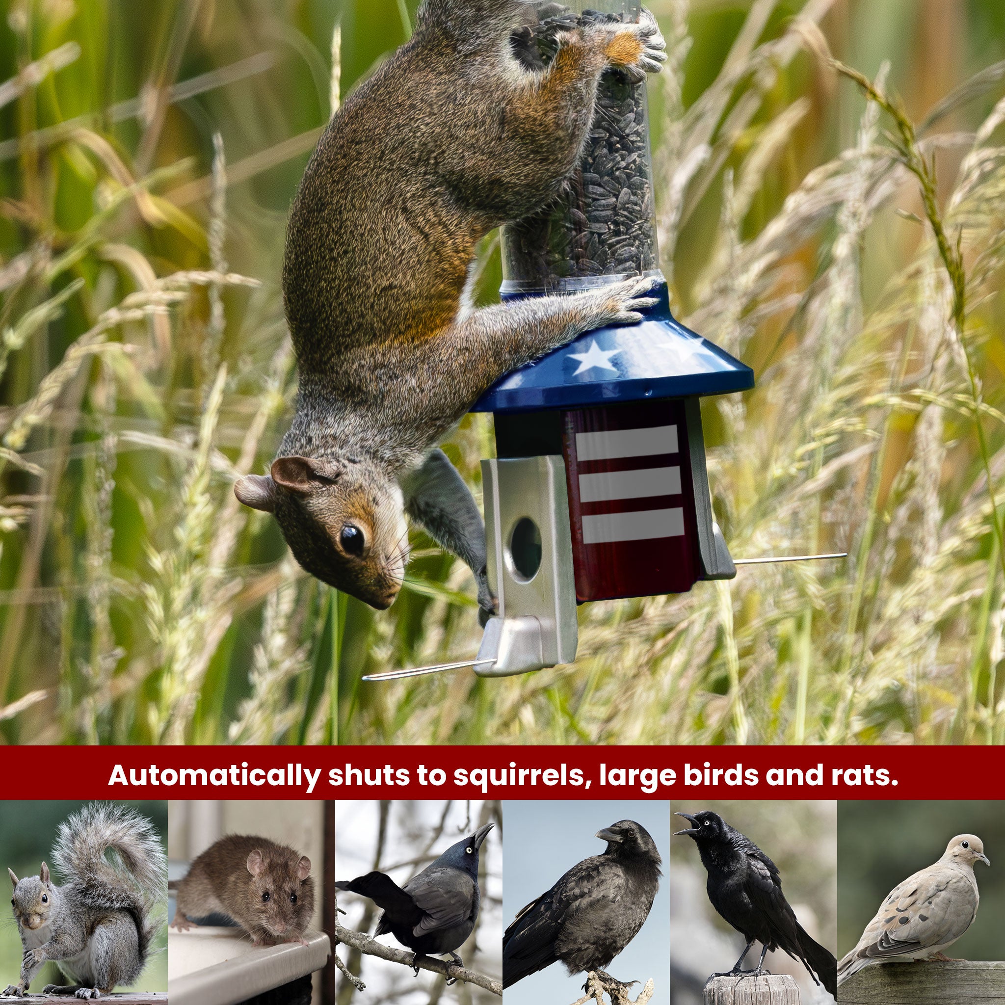 Roamwild PestOff Squirrel Proof Bird Feeder 2.0