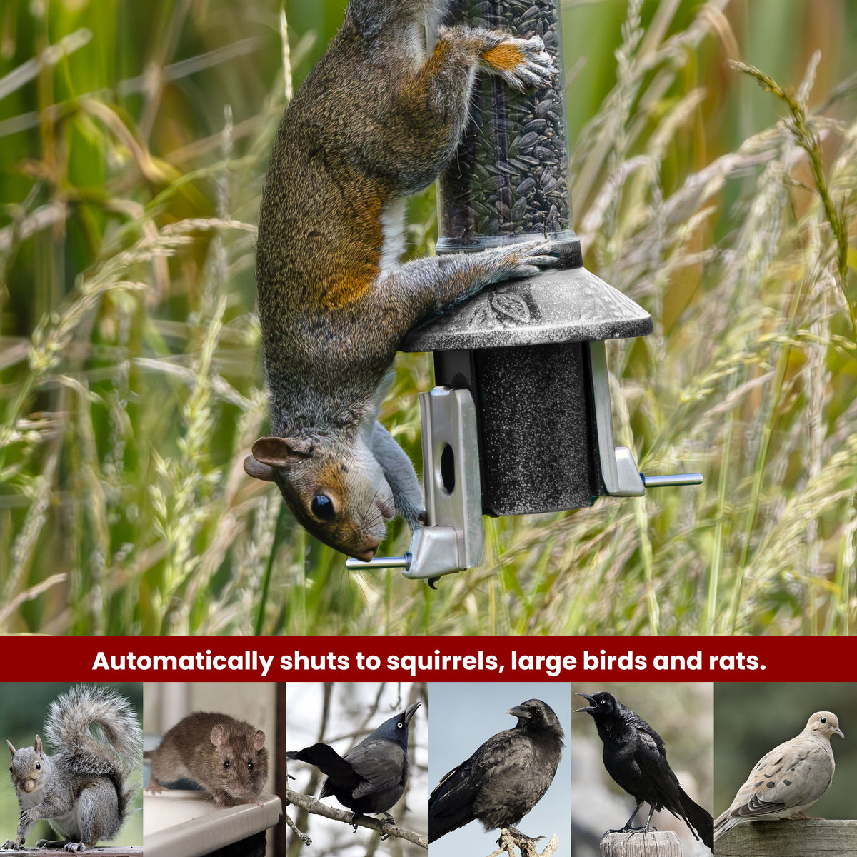 Roamwild PestOff Squirrel Proof Bird Feeder 2.0: feeding port closed under a squirrel