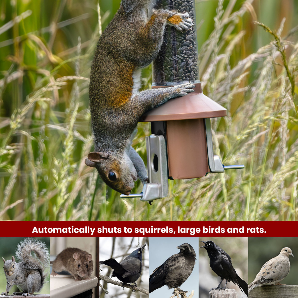 Roamwild PestOff Squirrel Proof Bird Feeder 2.0: feeding port closed under a squirrel