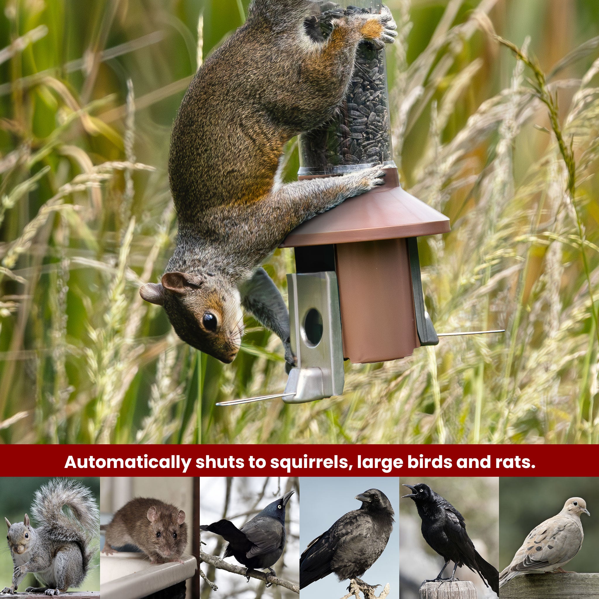 Roamwild PestOff Squirrel Proof Bird Feeder 2.0