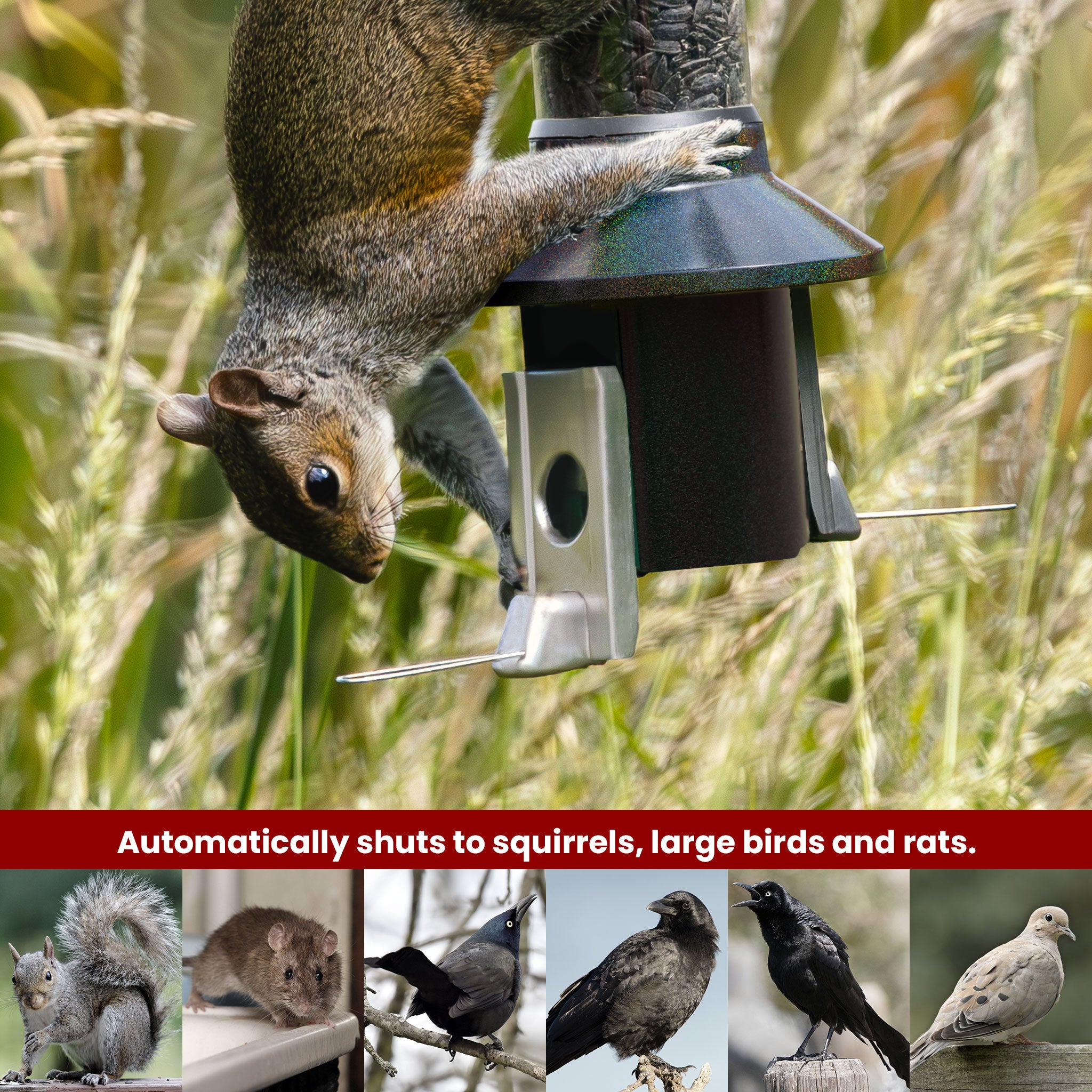Roamwild Mega PestOff Squirrel Proof Bird Feeder