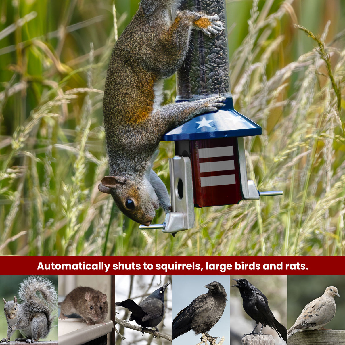 Roamwild PestOff Squirrel Proof Bird Feeder 2.0: feeding port closed under a squirrel
