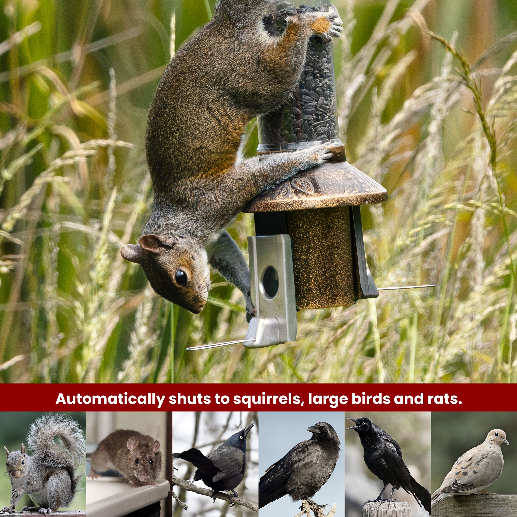 Roamwild PestOff Squirrel Proof Bird Feeder 2.0