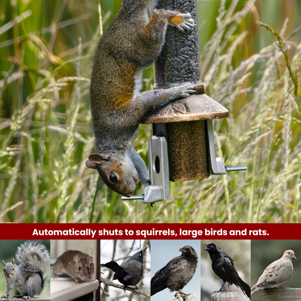 Roamwild PestOff Squirrel Proof Bird Feeder 2.0: feeding port closed under a squirrel