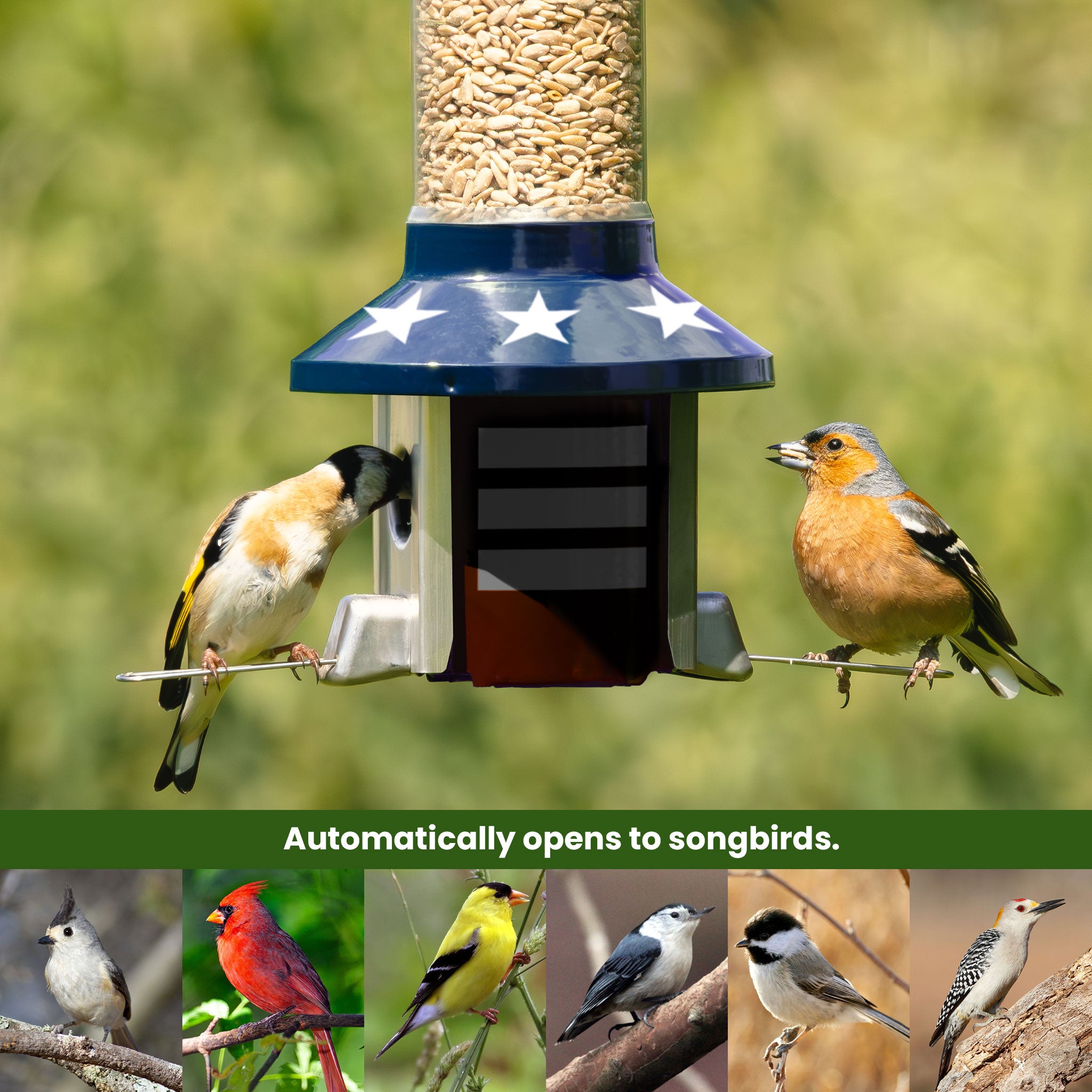 Roamwild PestOff Squirrel Proof Bird Feeder US Flag Design 2.0