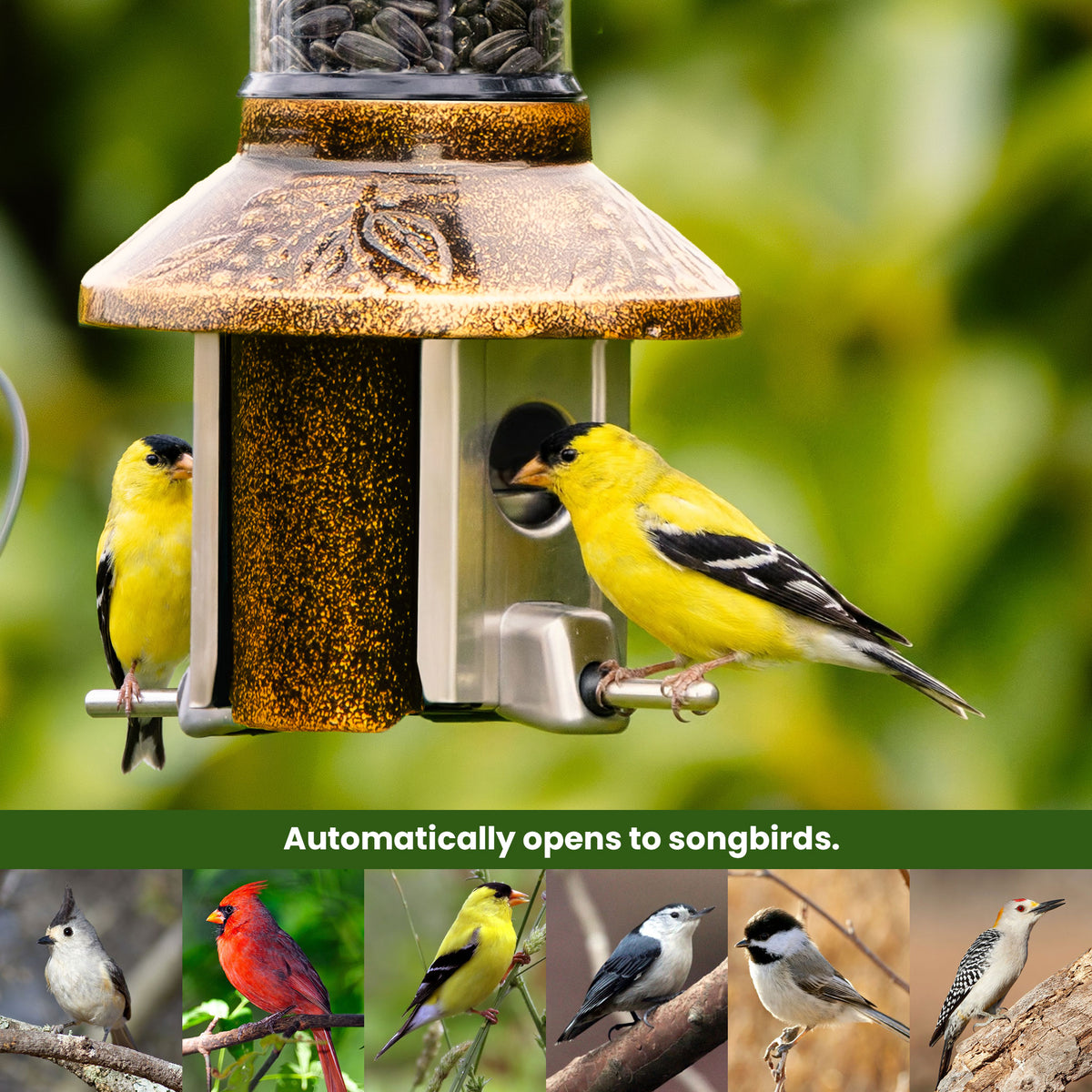 Roamwild PestOff Squirrel Proof Bird Feeder 2.0: feeding port open for a songbird