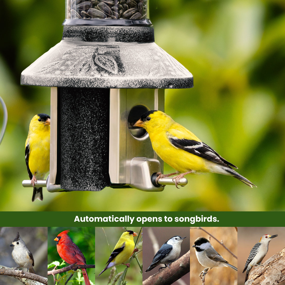 Roamwild PestOff Squirrel Proof Bird Feeder 2.0: feeding port open for a songbird