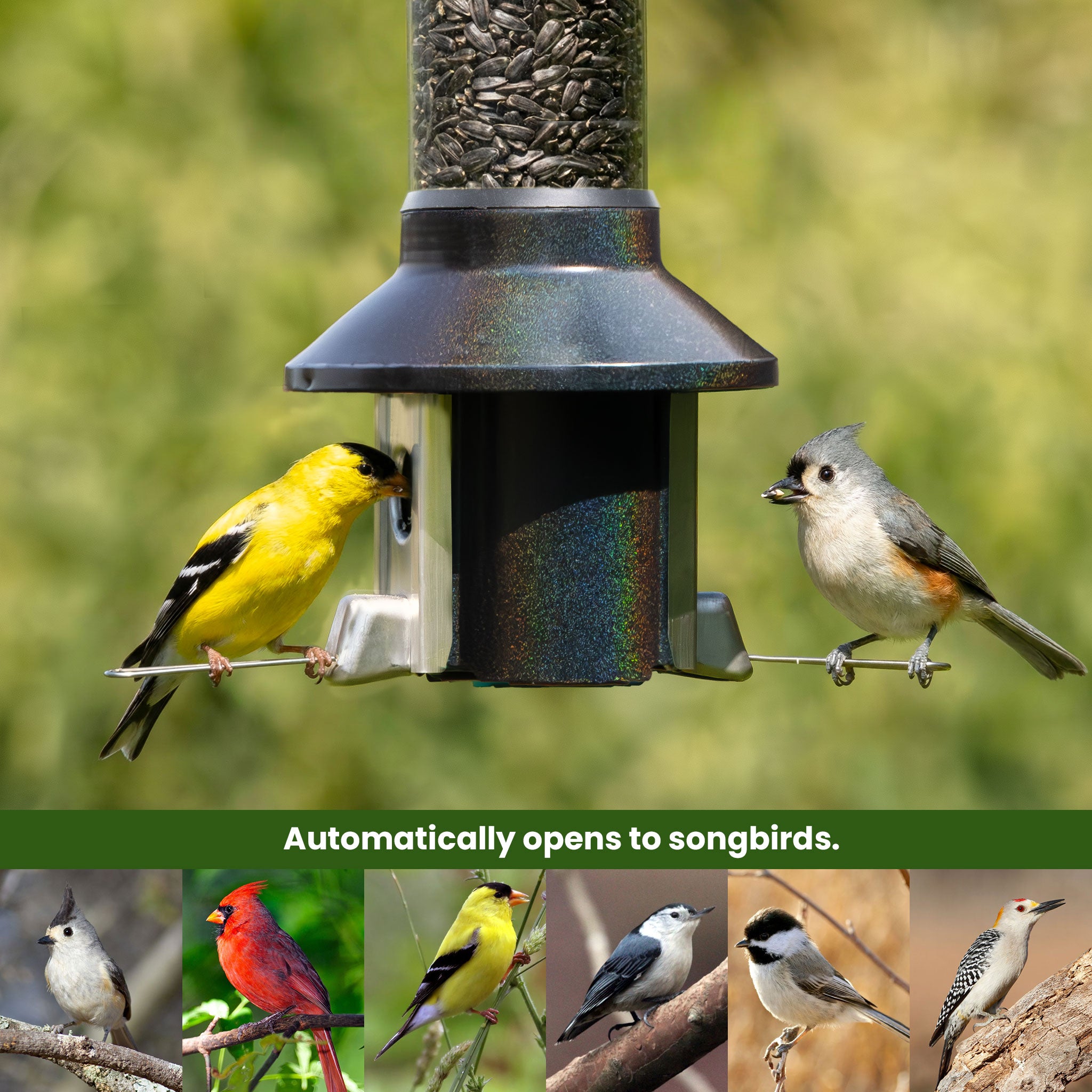 Roamwild Mega PestOff Squirrel Proof Bird Feeder