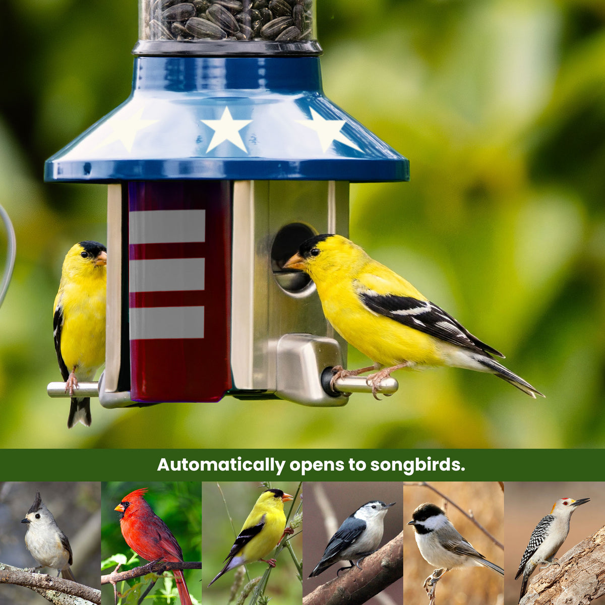 Roamwild PestOff Squirrel Proof Bird Feeder 2.0: feeding port open for a songbird