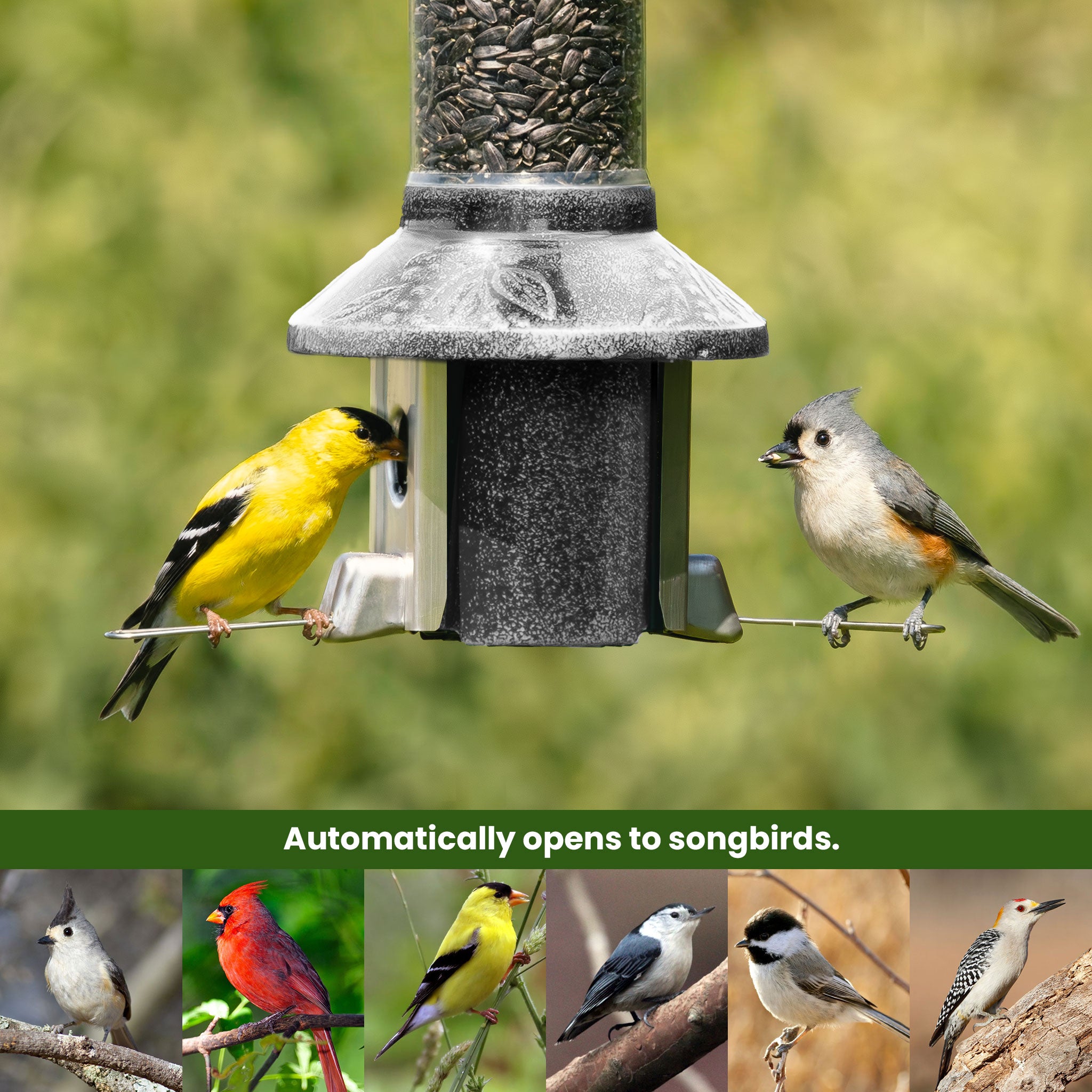 Roamwild PestOff Squirrel Proof Bird Feeder 2.0