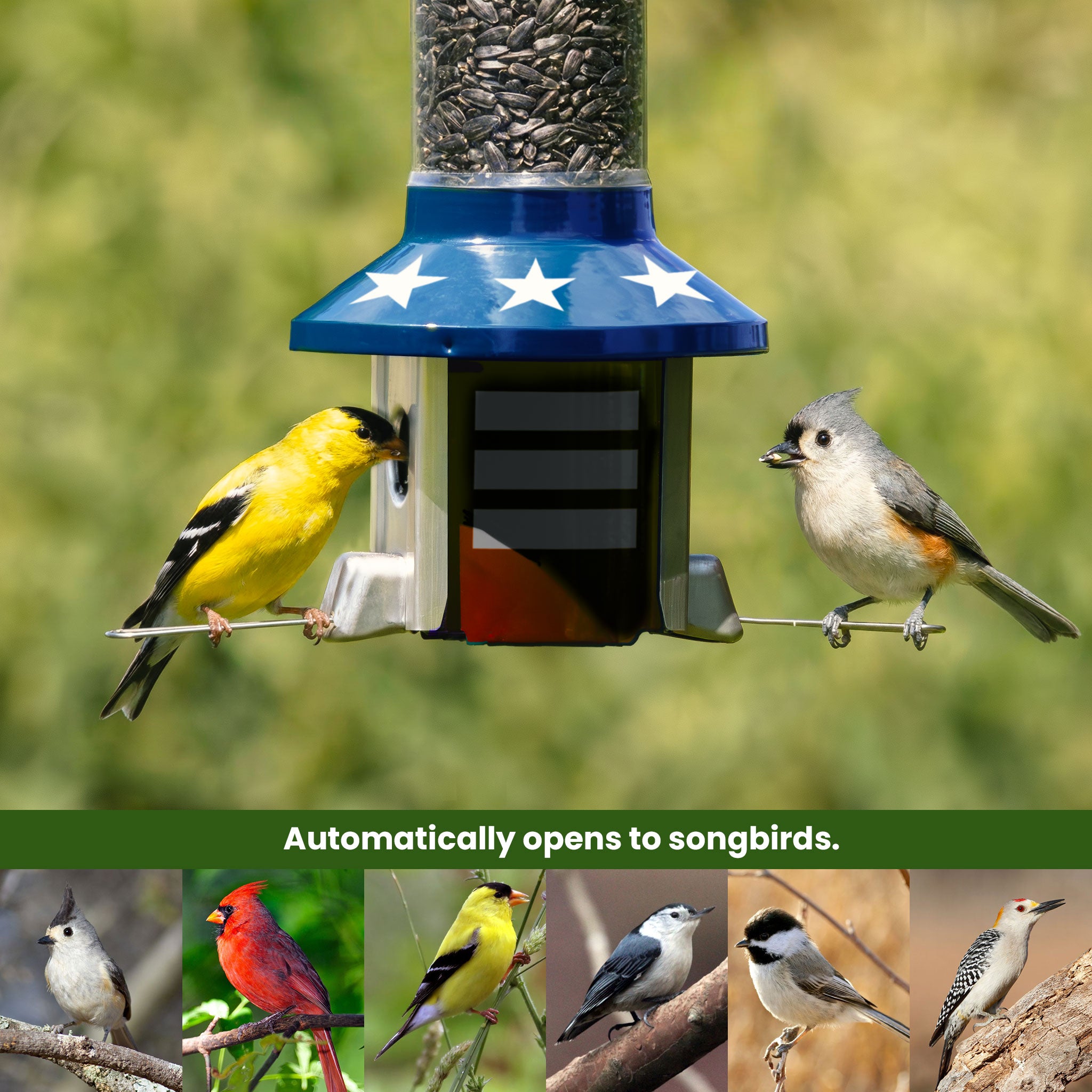 Roamwild PestOff Squirrel Proof Bird Feeder 2.0