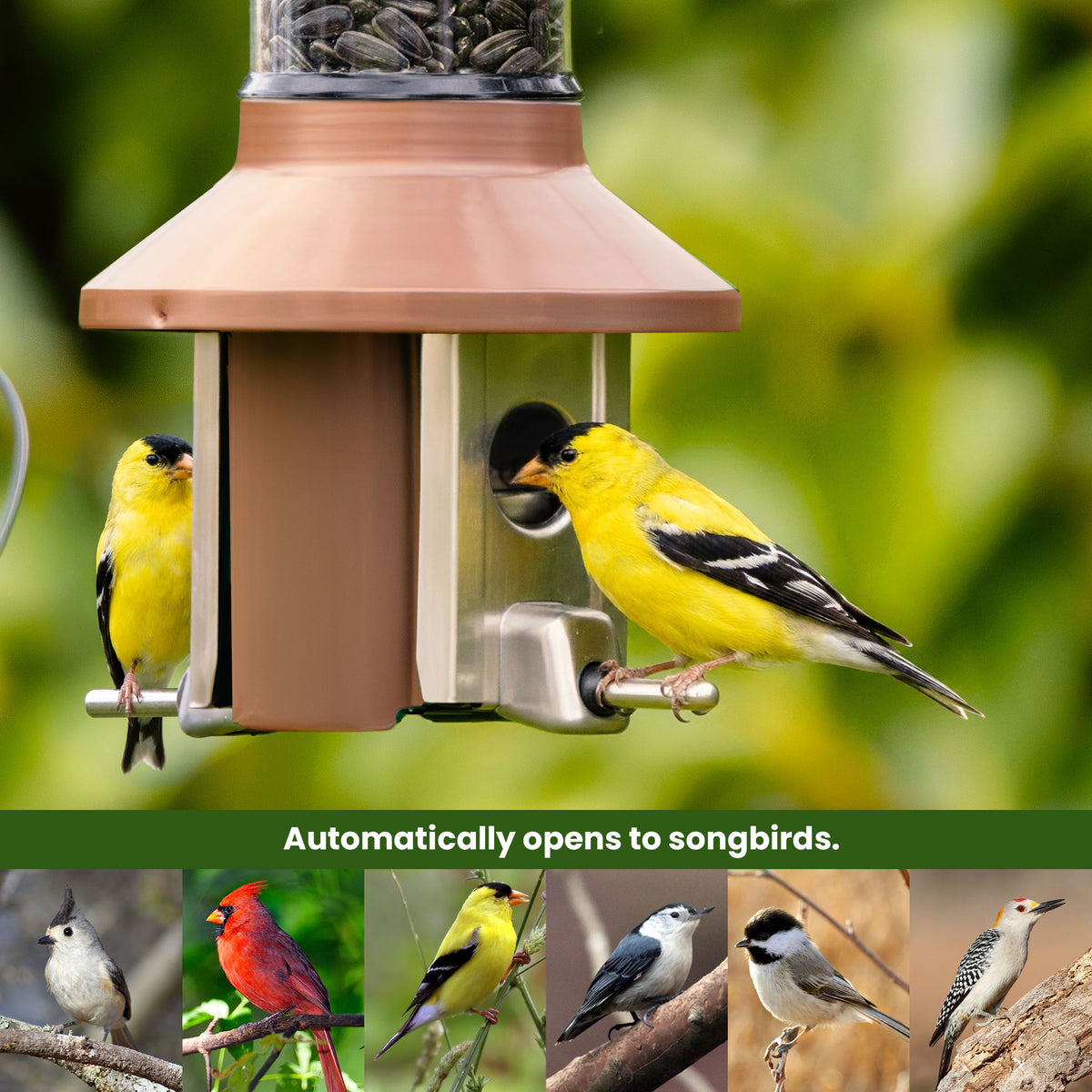 Roamwild PestOff Squirrel Proof Bird Feeder 2.0: feeding port open for a songbird