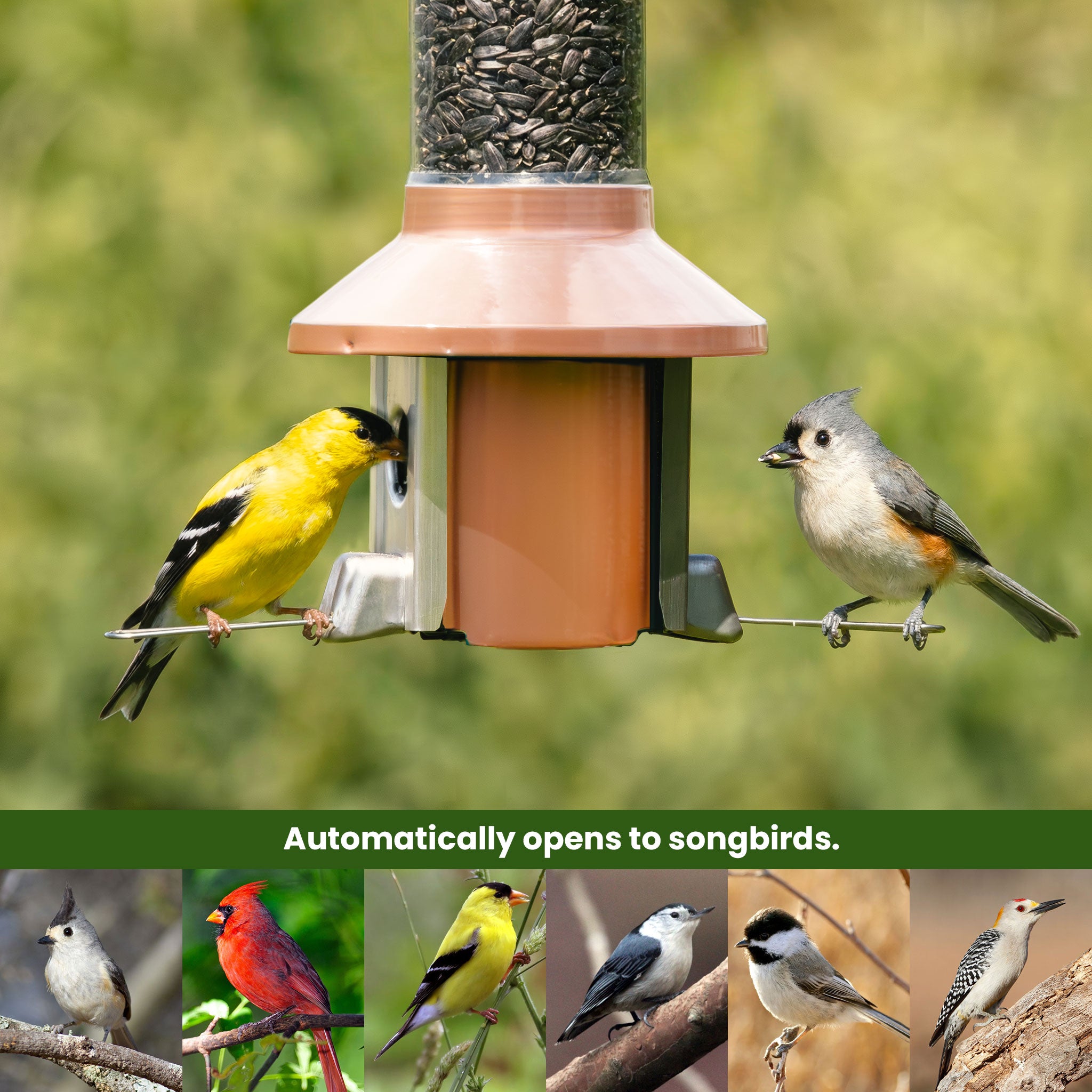 Roamwild PestOff Squirrel Proof Bird Feeder 2.0