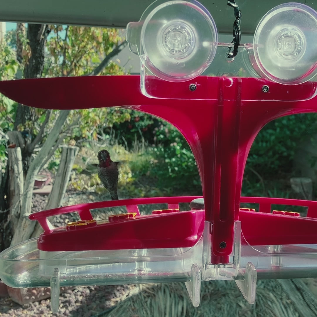 Load video: Window Mounted Roamwild Bee Proof Hummingbird Feeder