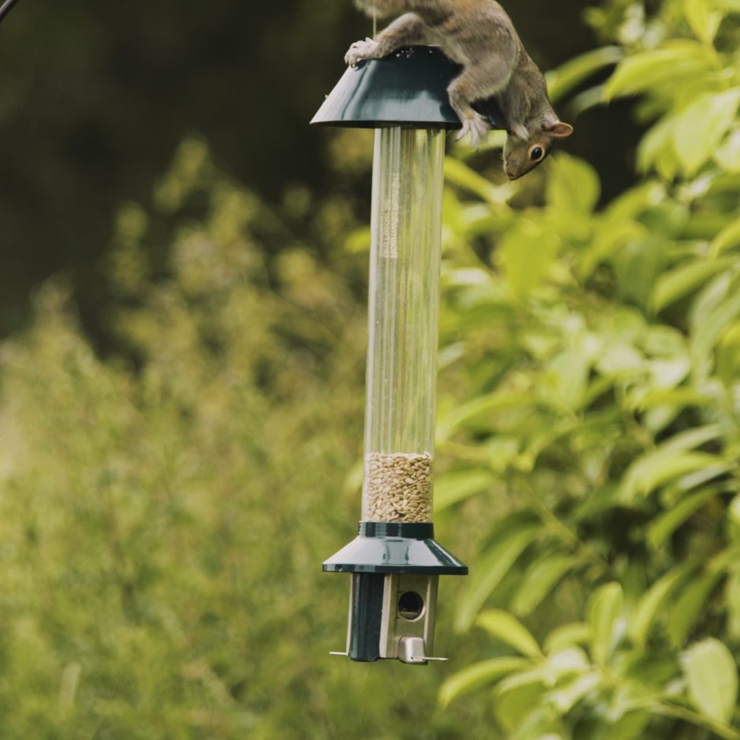 Load video: Roamwild PestOff Squirrel Proof Bird Feeder 2.0