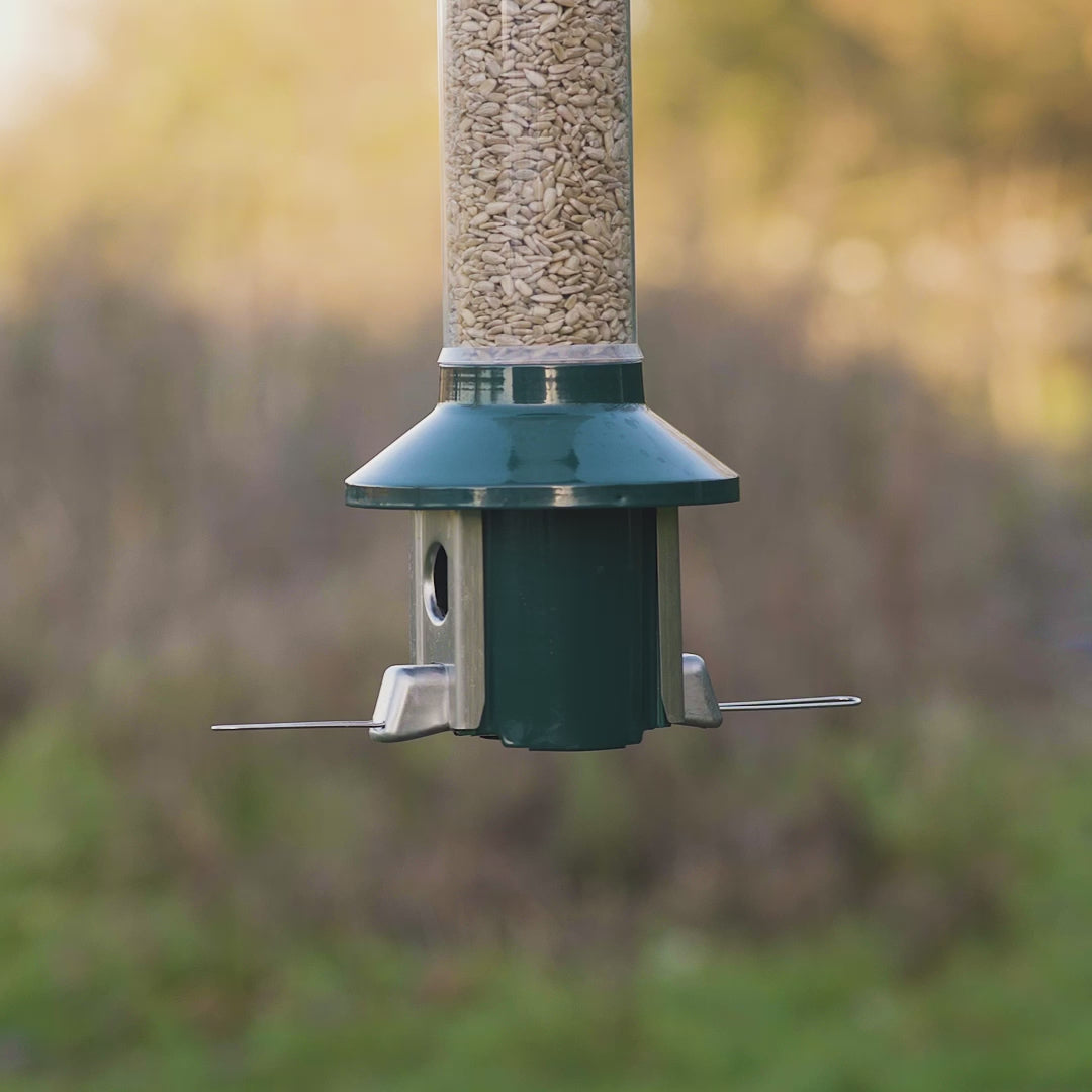 Load video: Roamwild PestOff Squirrel Proof Bird Feeder 2.0