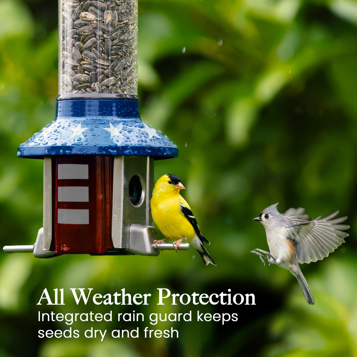 Roamwild PestOff Squirrel Proof Bird Feeder 2.0: rain guard keeping seed dry