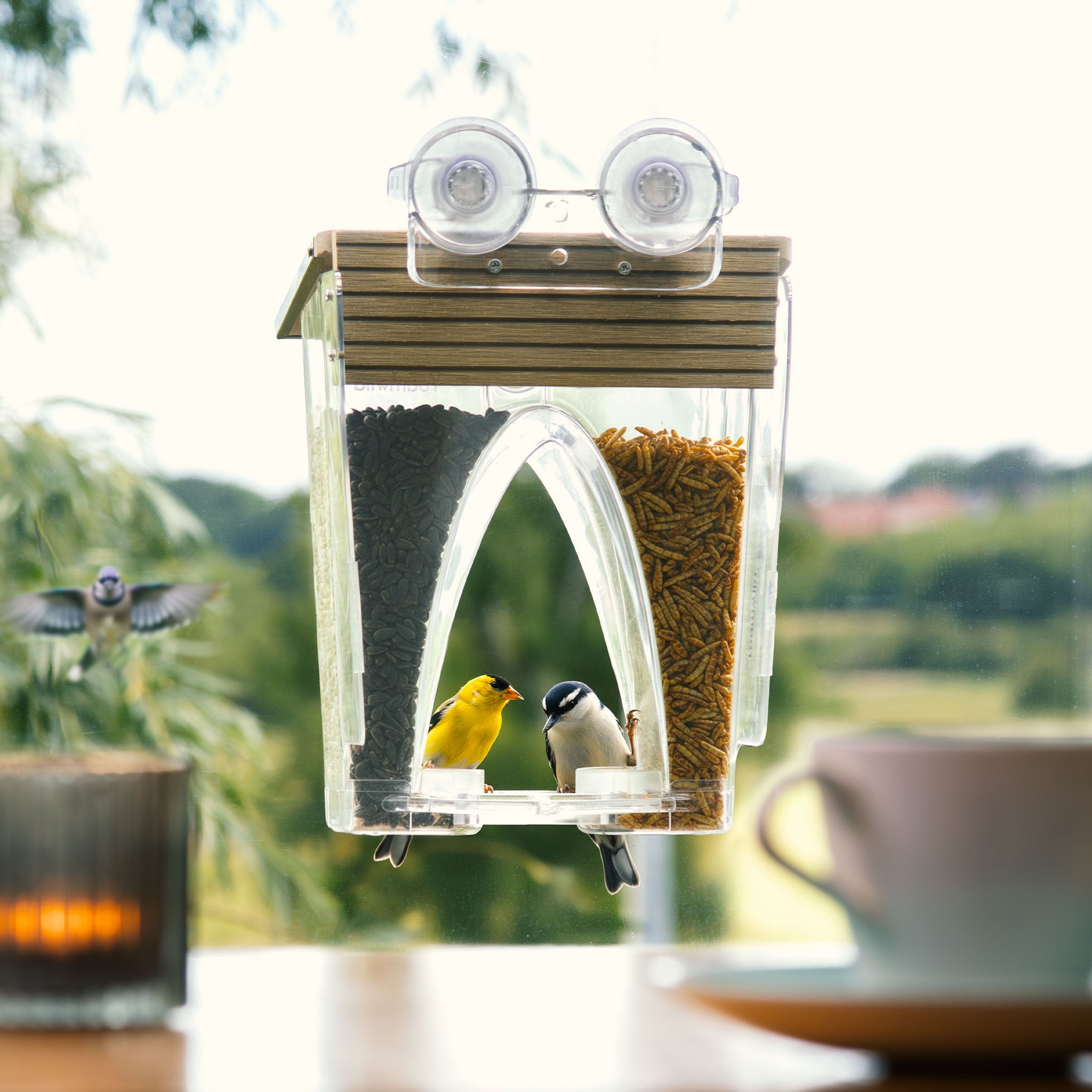 Roamwild Arch Window Bird Feeder