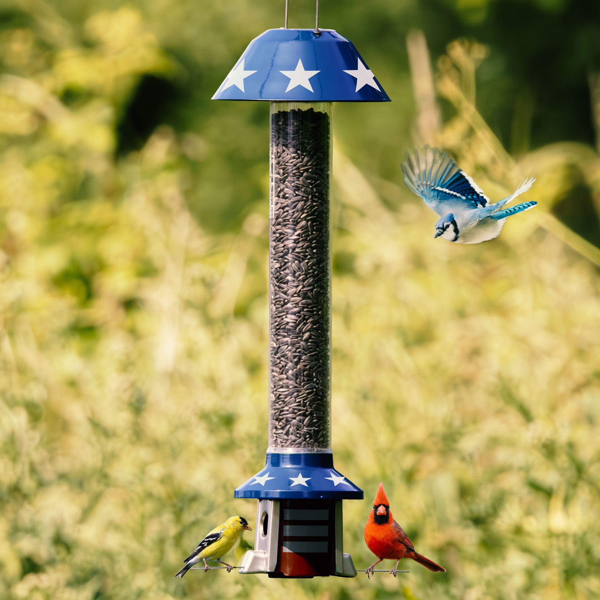 Roamwild PestOff Squirrel Proof Bird Feeder 2.0