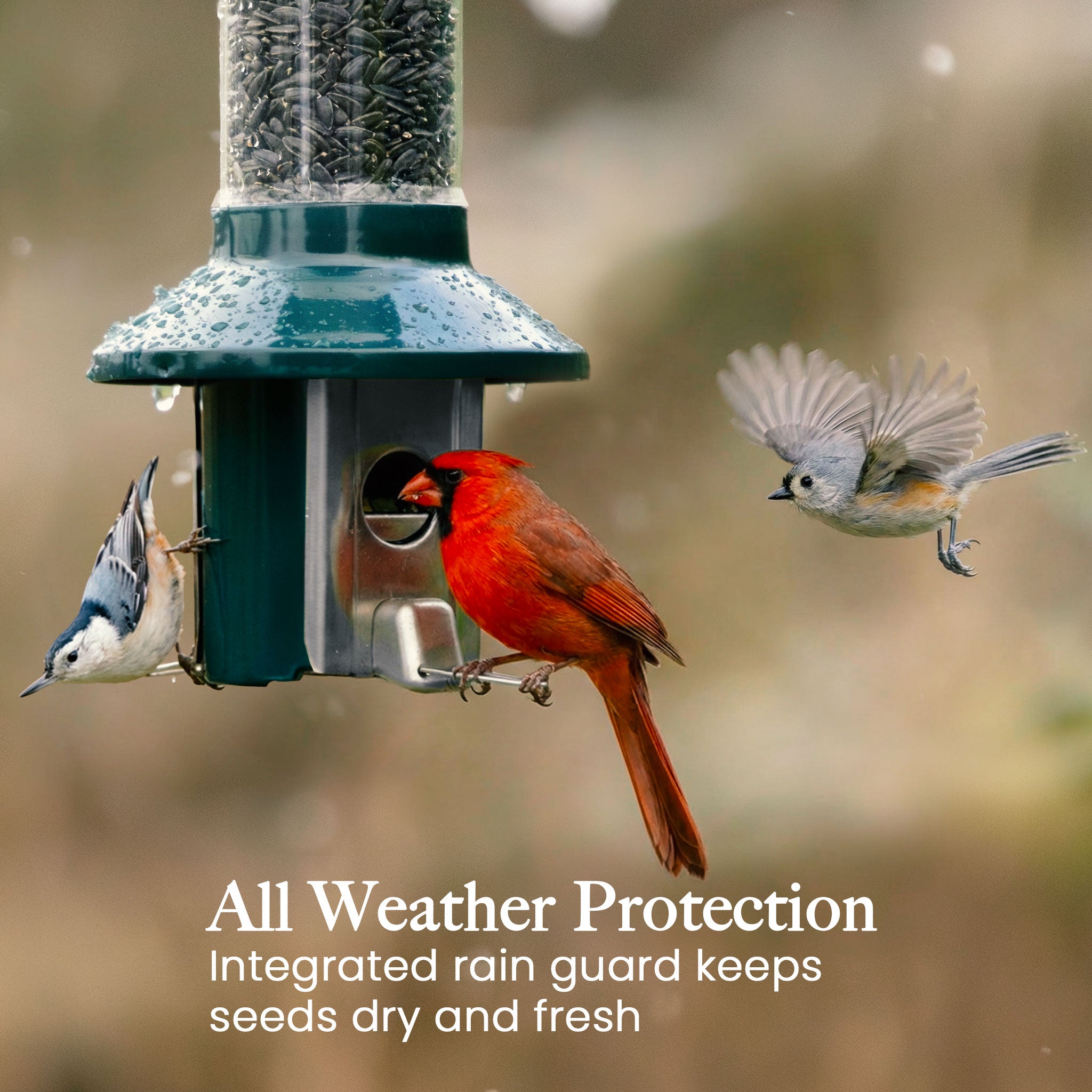 Roamwild PestOff Squirrel Proof Bird Feeder 2.0