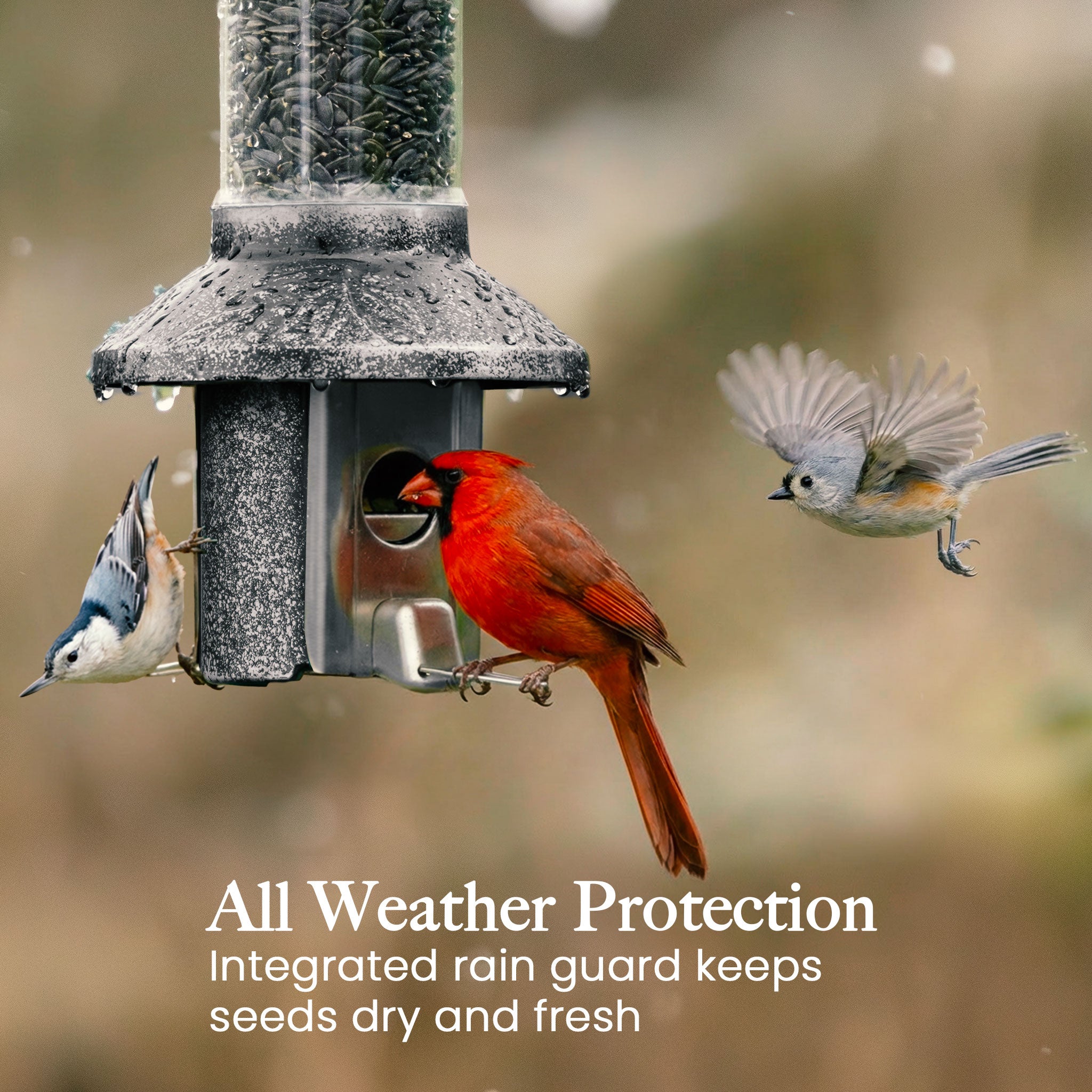 Roamwild PestOff Squirrel Proof Bird Feeder 2.0